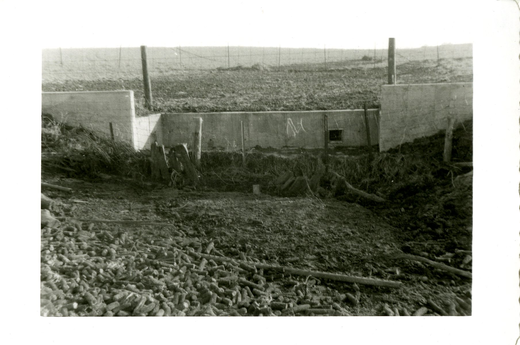 J.W. Robertson Toe Wall Site, 1959