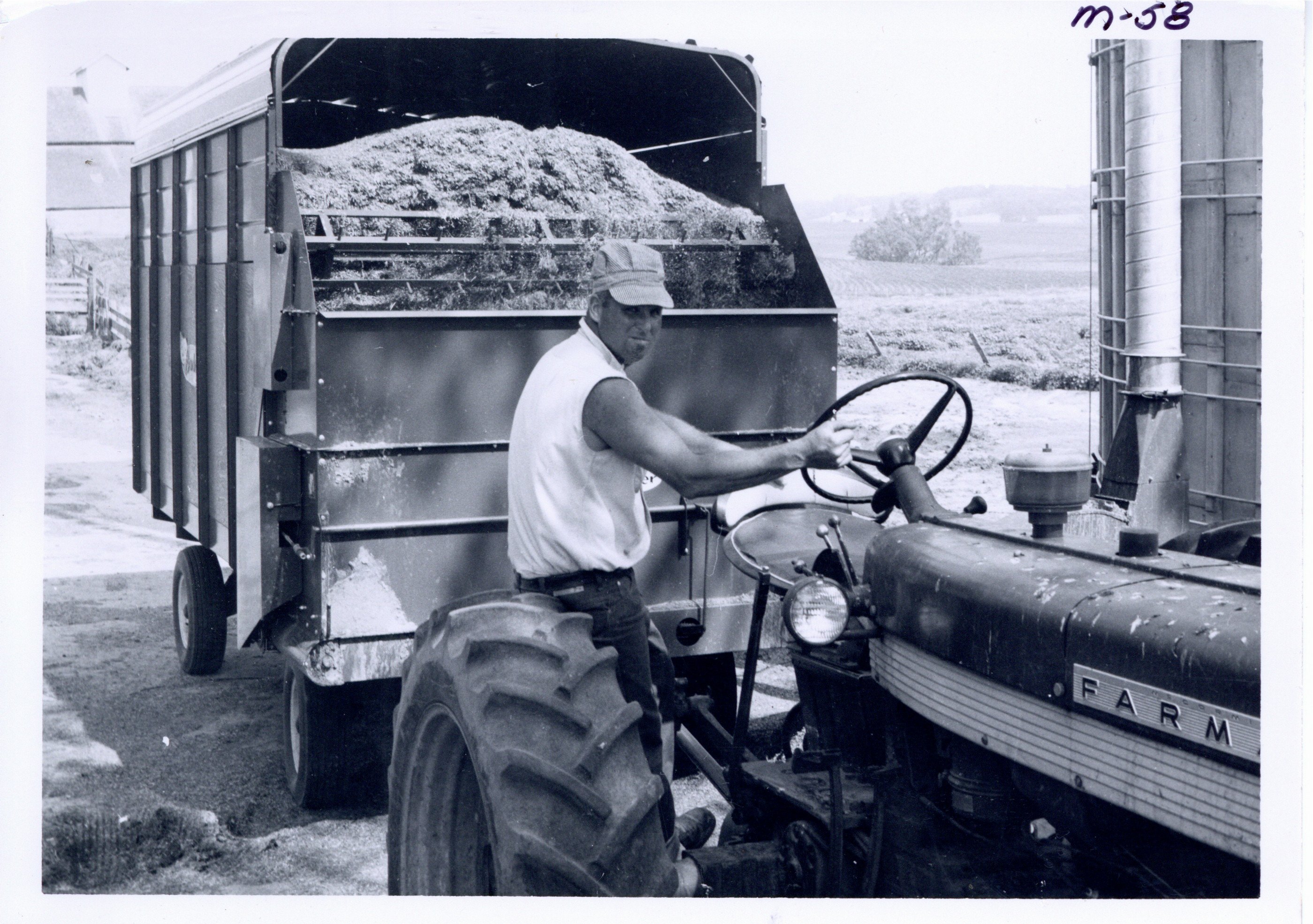 Wayne Meyer with chopped forage, 1967