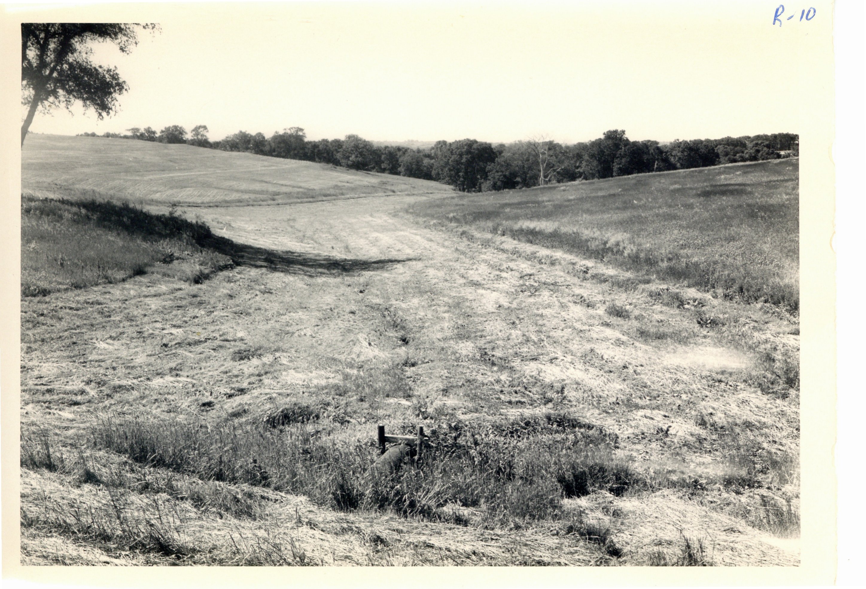 Weiland Bros. waterway after seeding