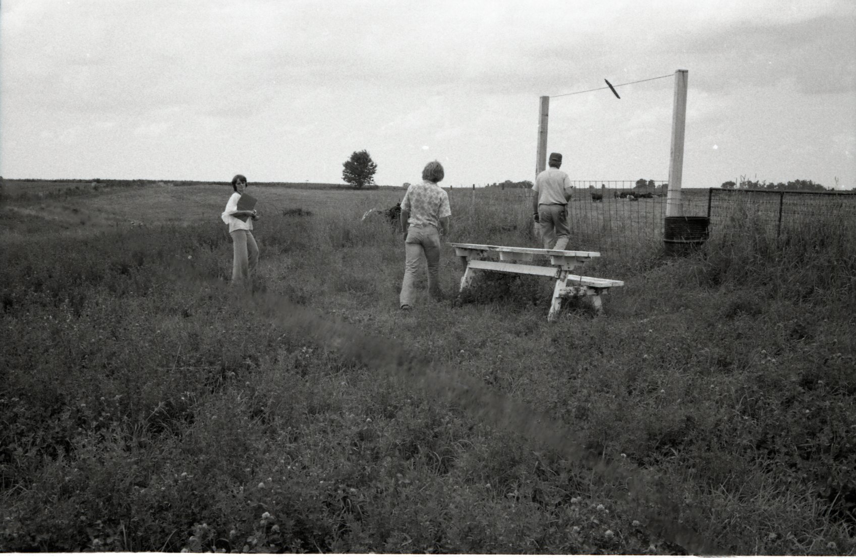 Two men and one woman walk in pasture
