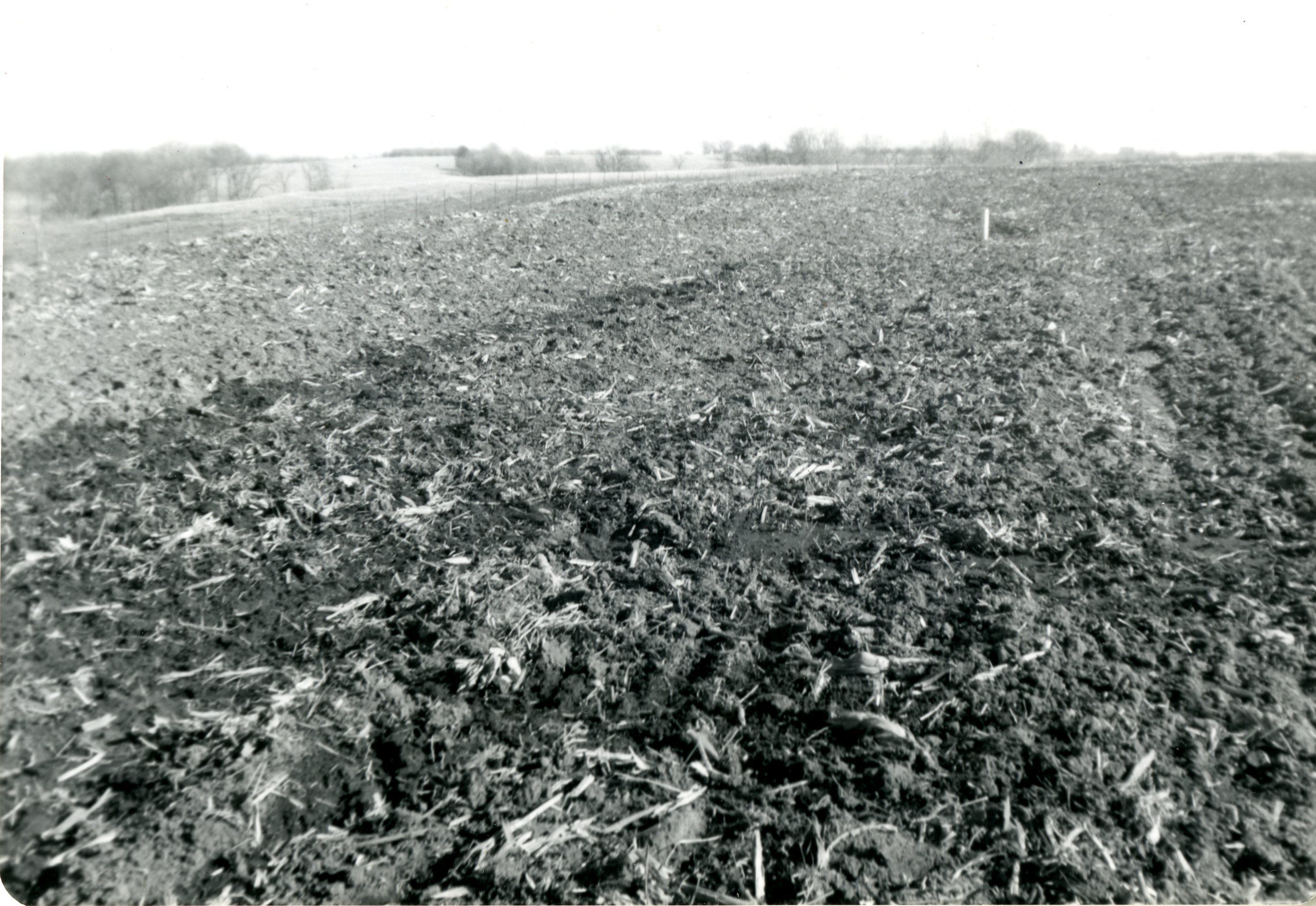 TOT on Stanley Baughman Farm
