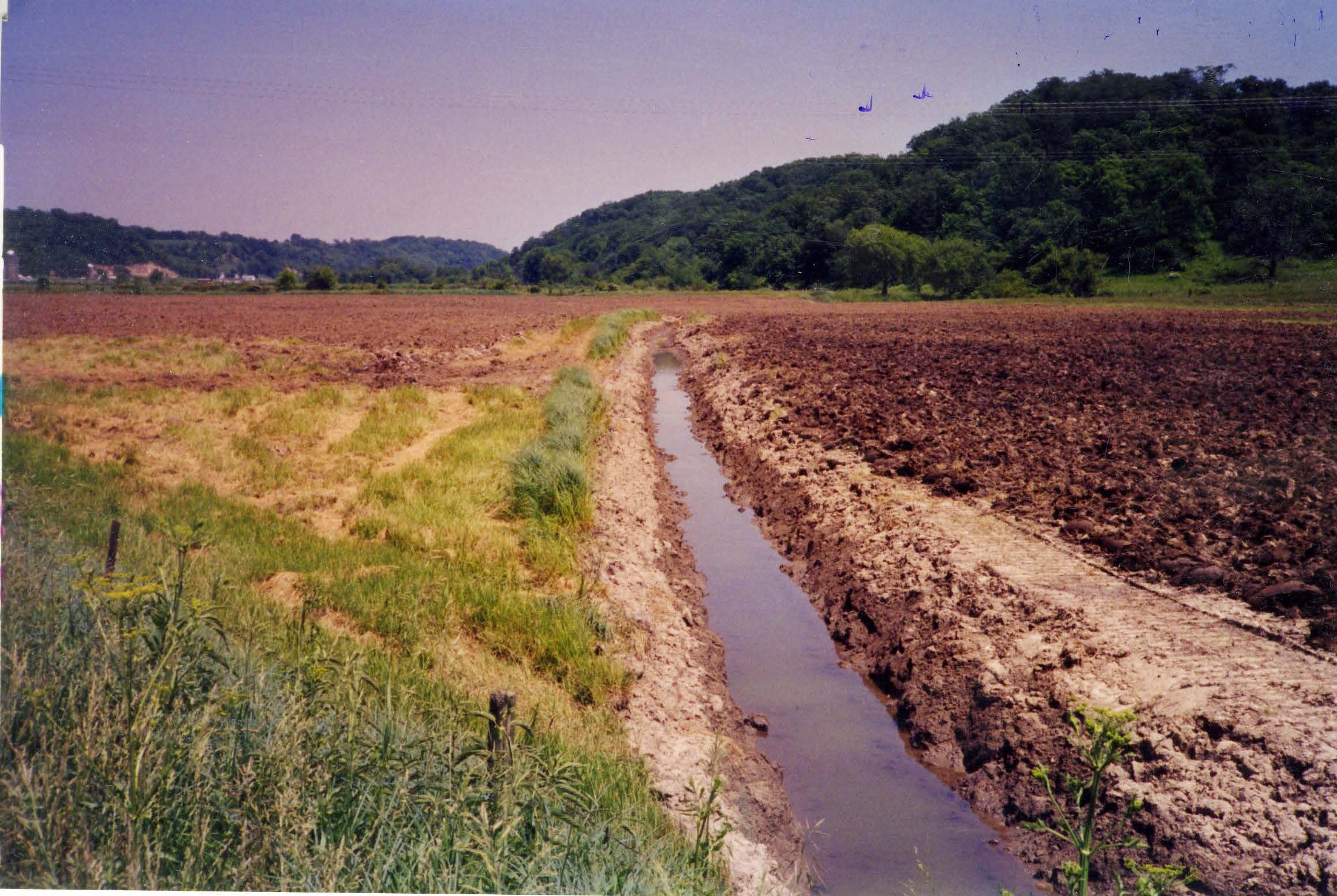Little Mill Creek, 1999
