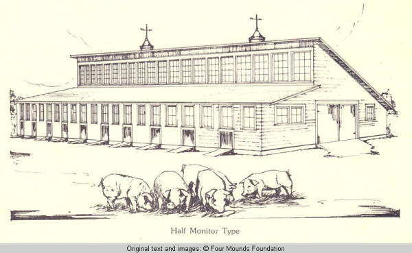 Half Monitor Type Hog Shed drawing