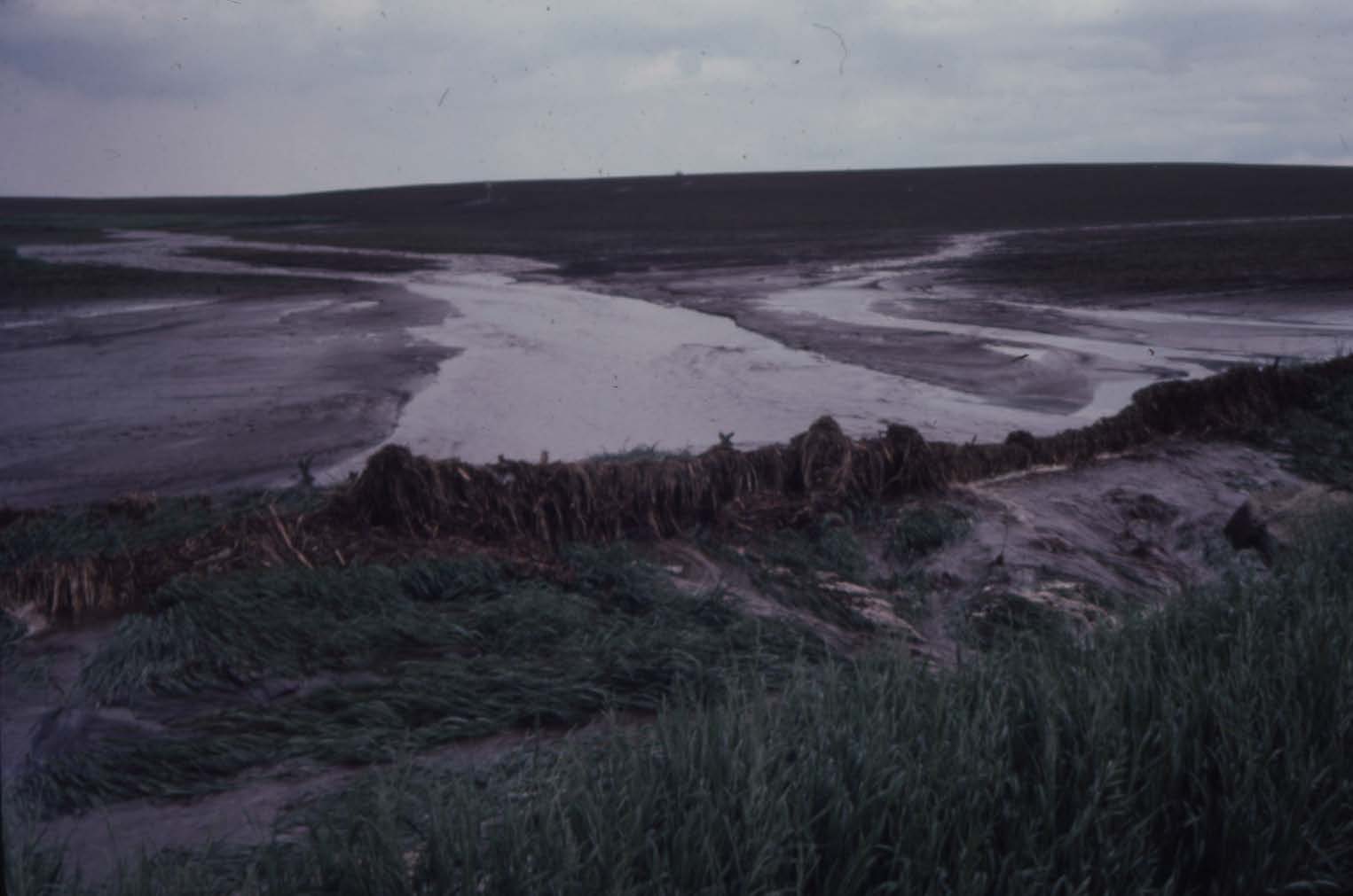 Taphorn land after heavy rains 