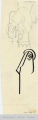 [Tissue Sketches 346.A]