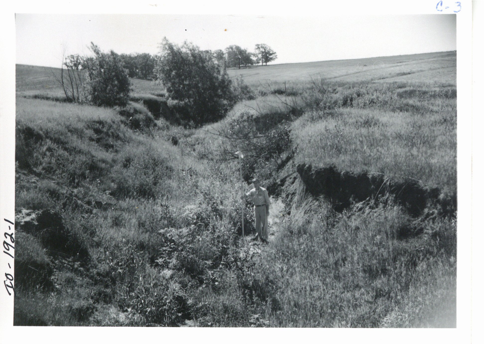 Gully on Roger Stewart's farmland, 1959