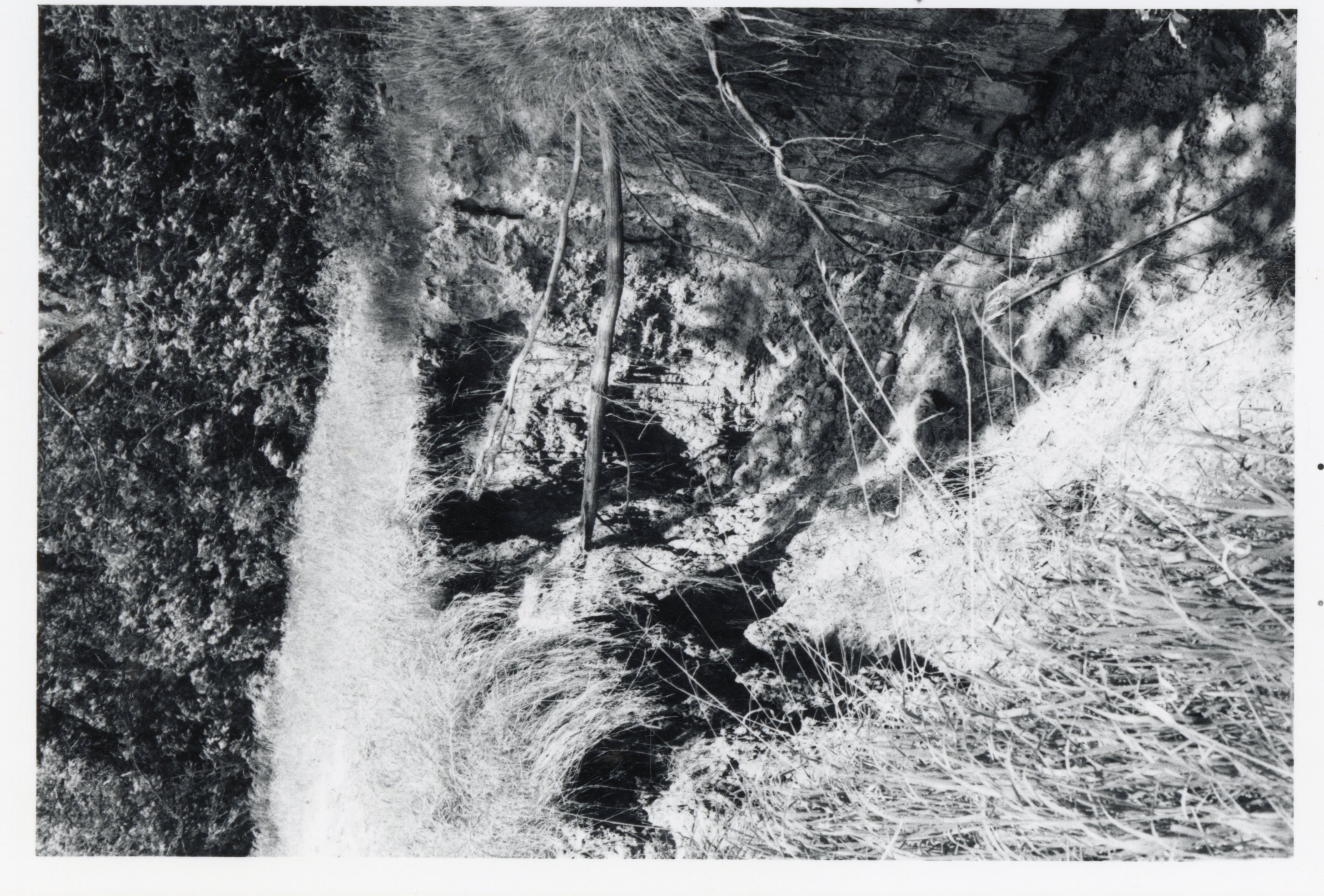 1970s Eroded gully in field