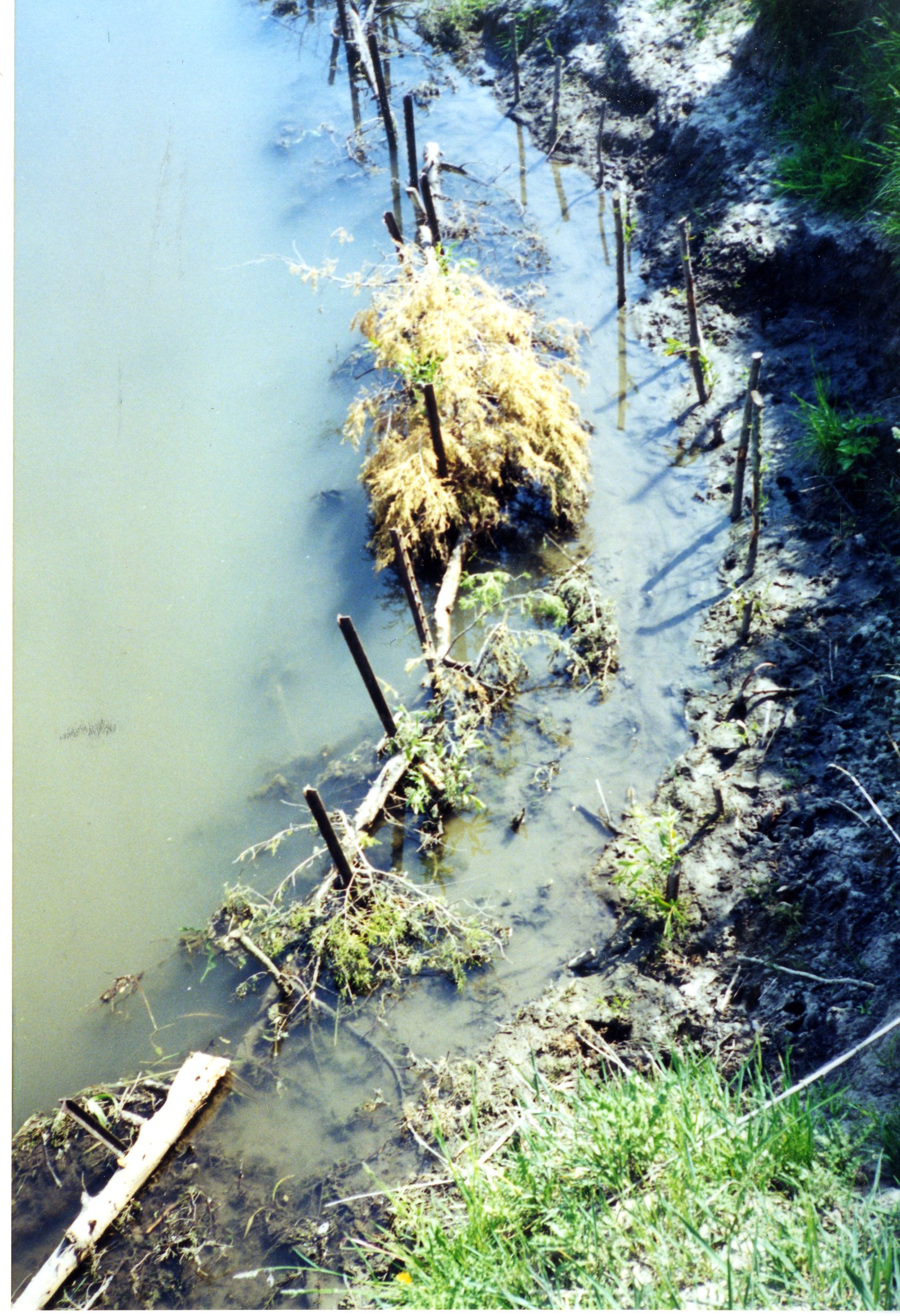 Bob Martin's land, 2000