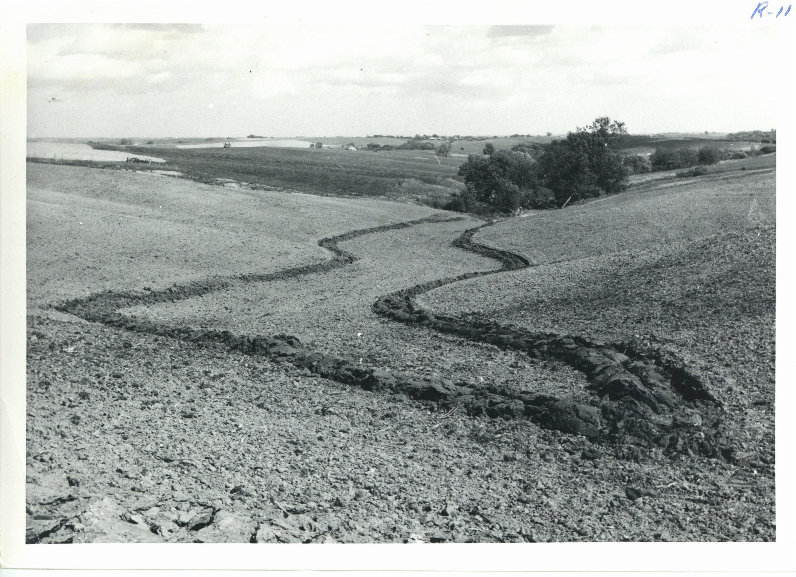 Waterway on Paul Miller farm, 1963