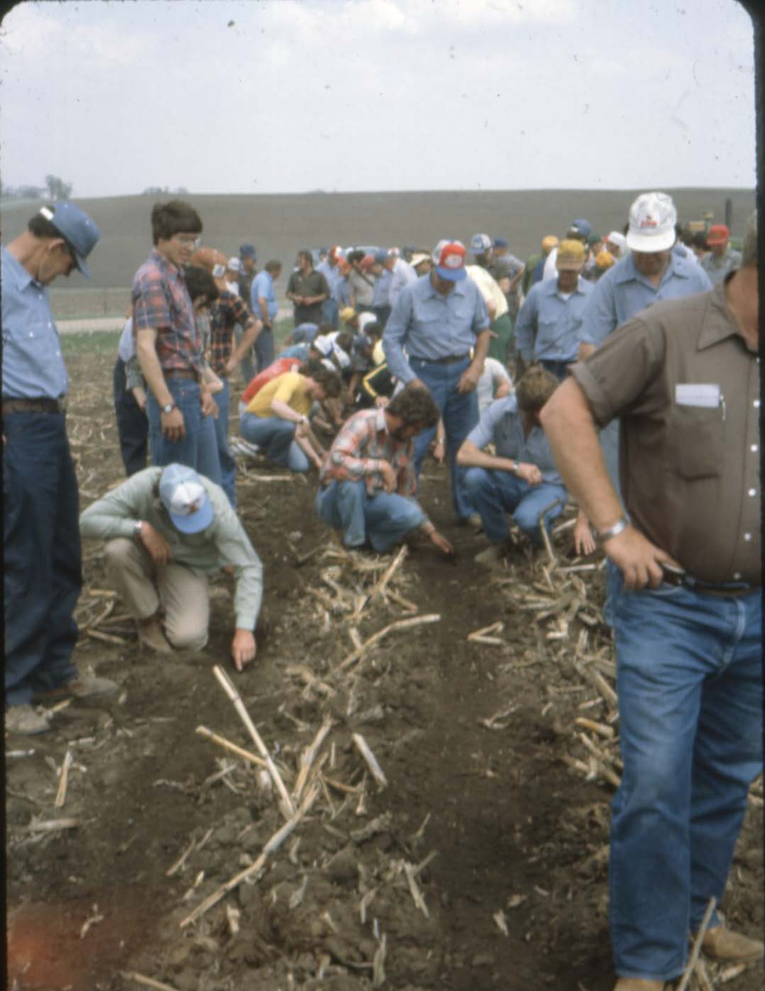 Tillage Day 