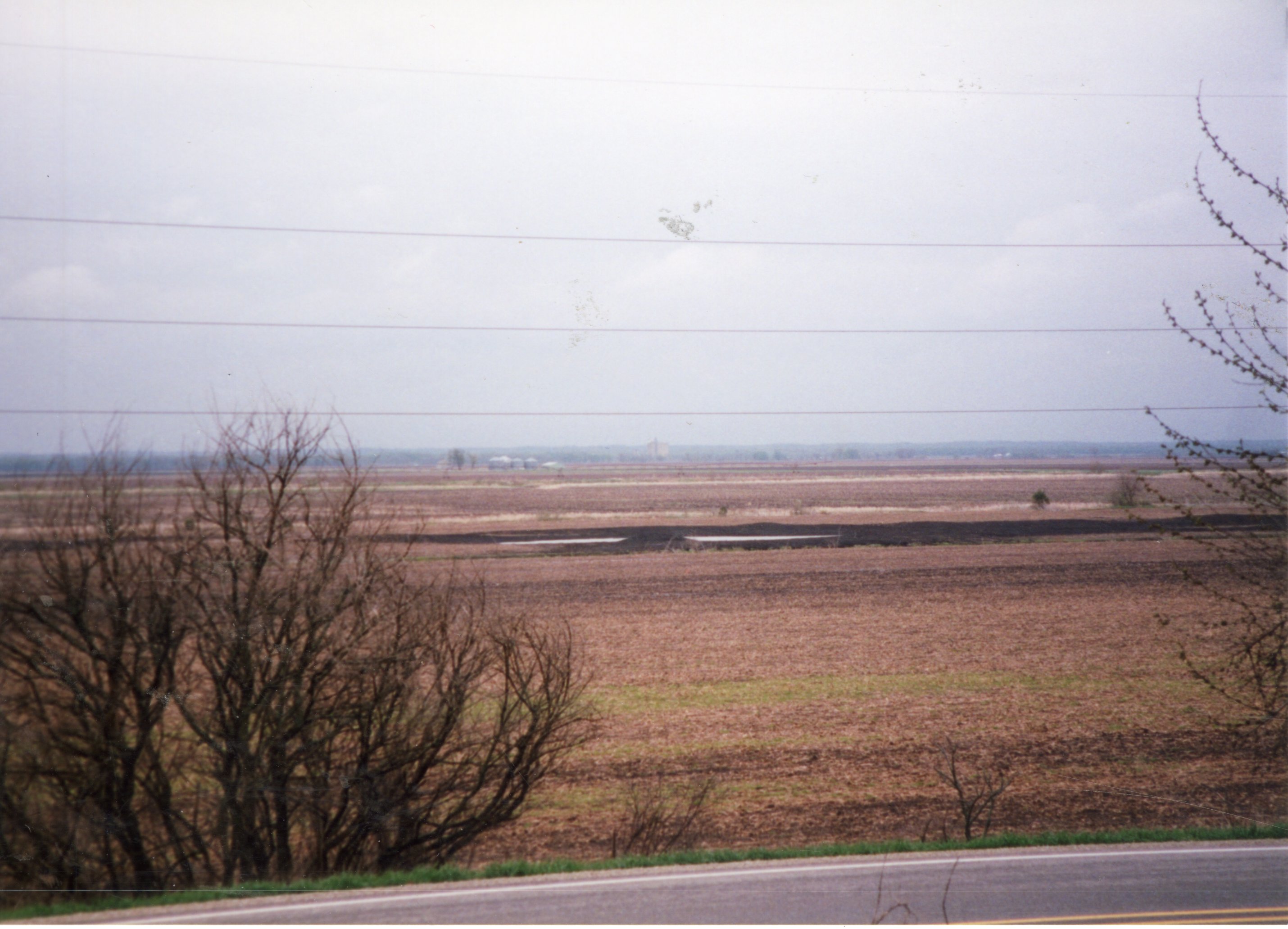 2002   Completed wetland program on Charles Poisel Property