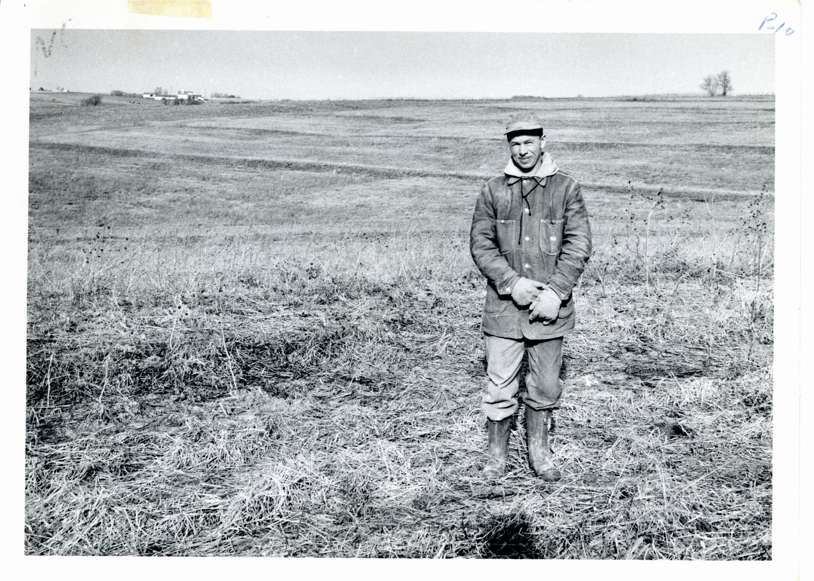 Stuart Wilson terraced field, 1965