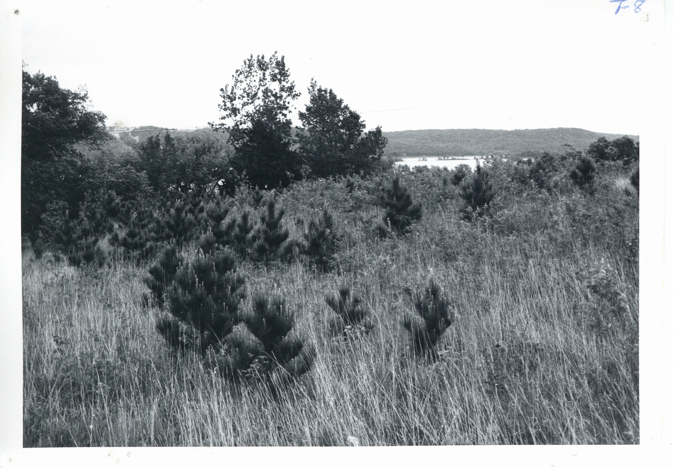 Vern Hintigen land