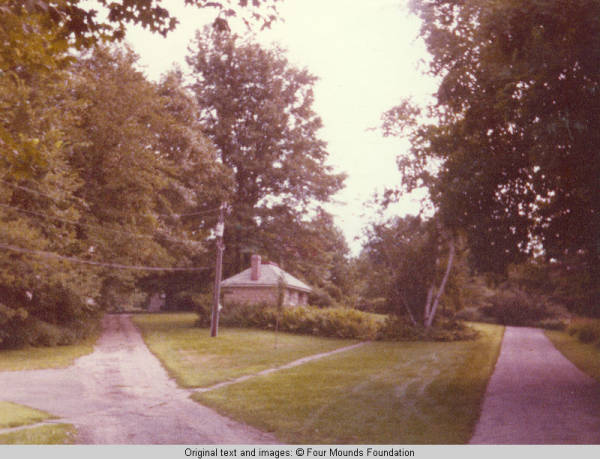 View of plantings around front drive