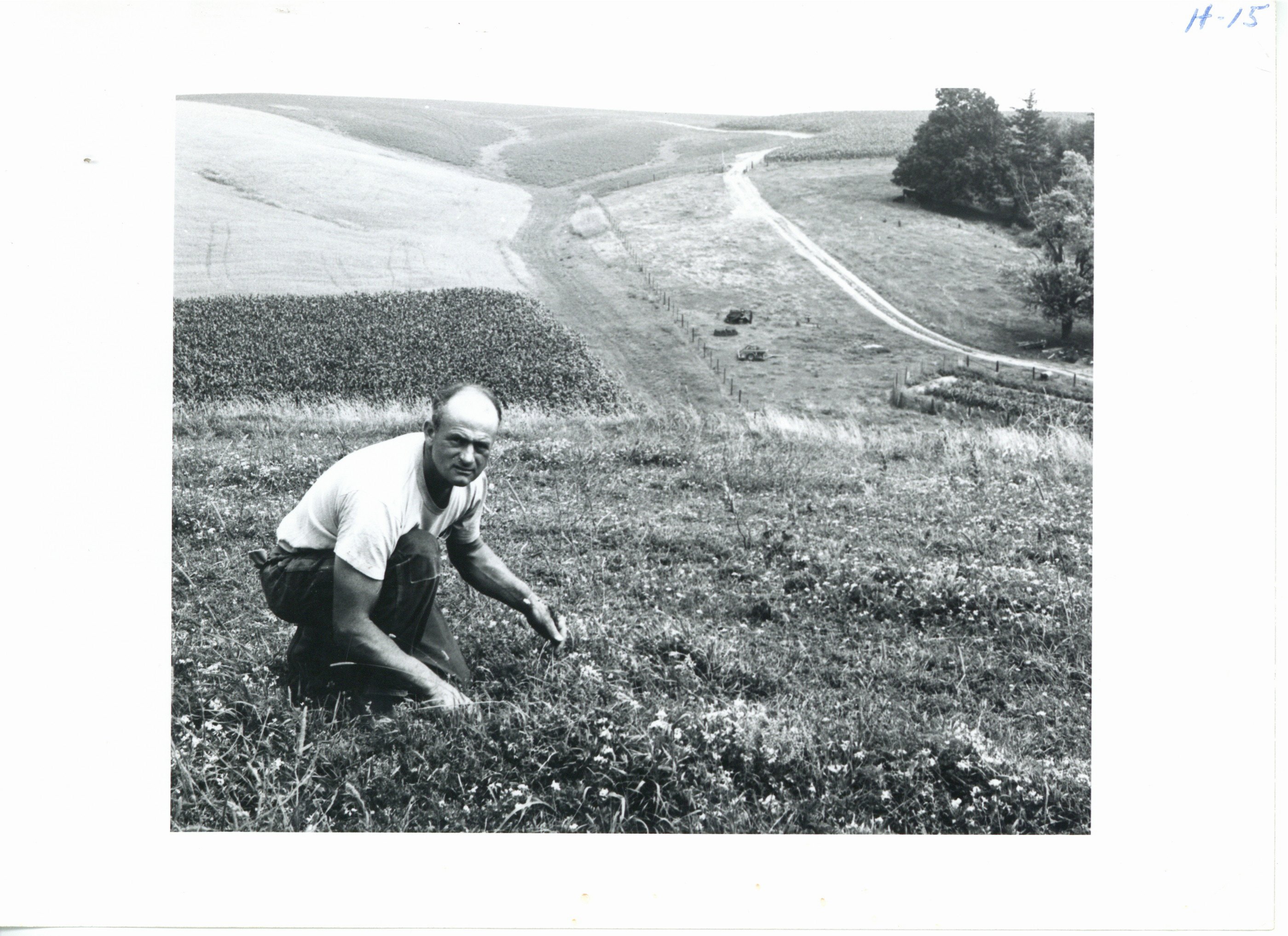 Lester Roeder trefoil pasture, 1965