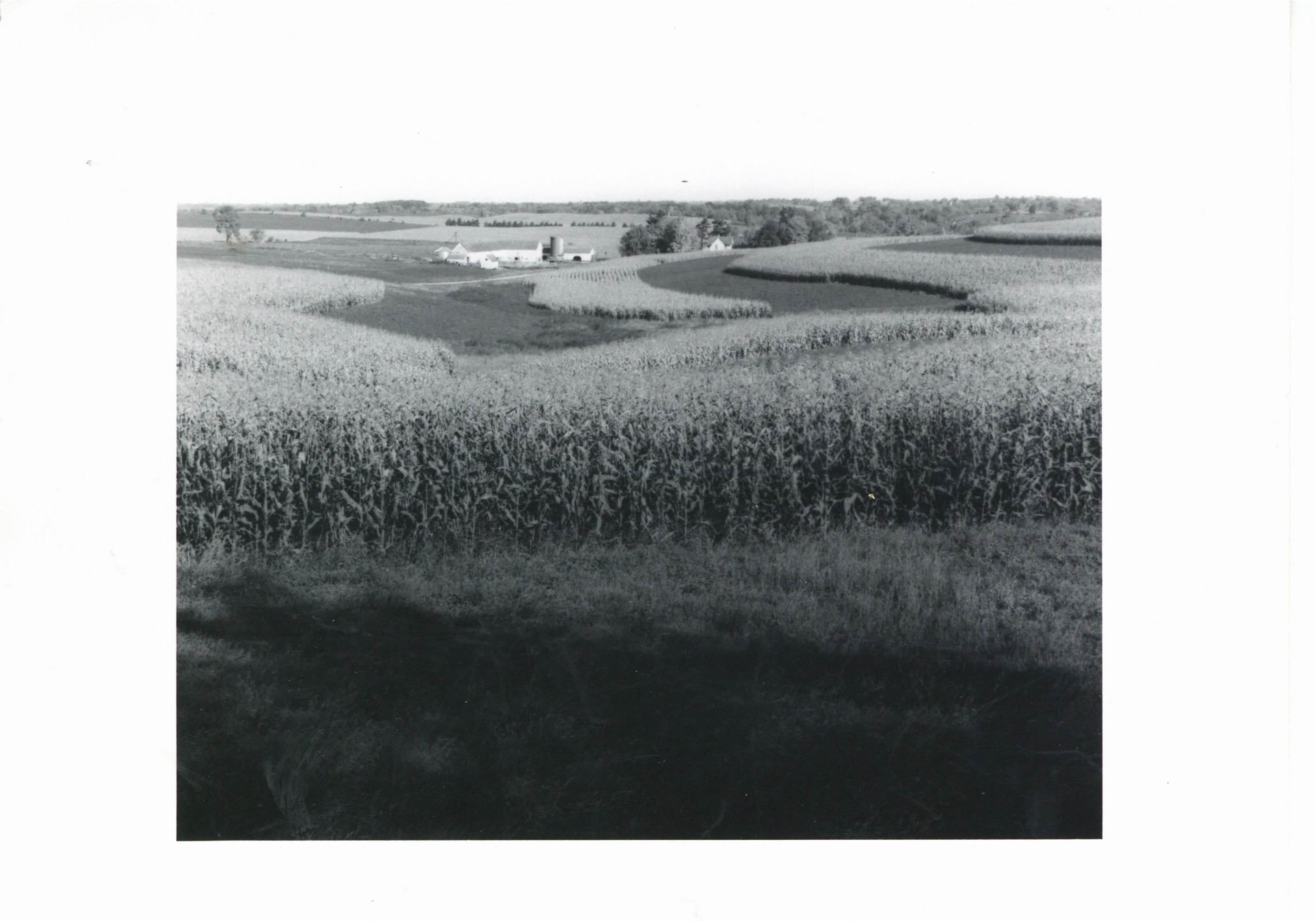 Strip cropping near Maquoketa township