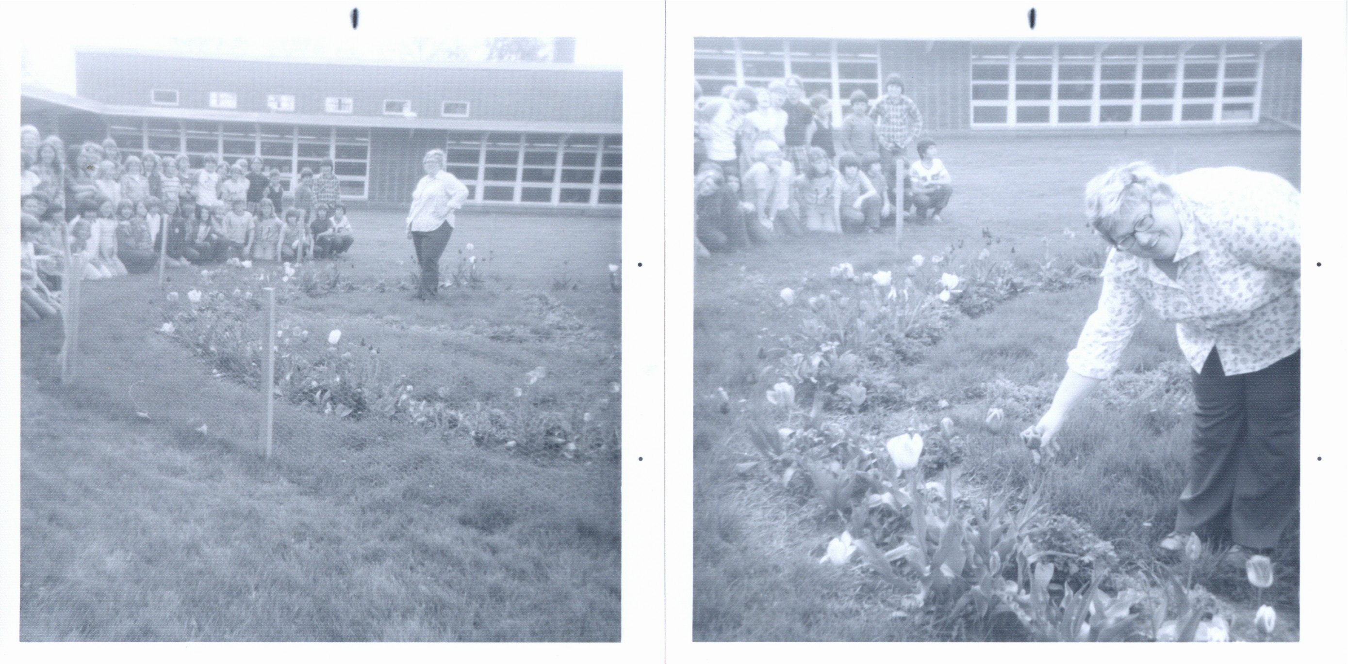 Briggs Elementary outdoor classroom