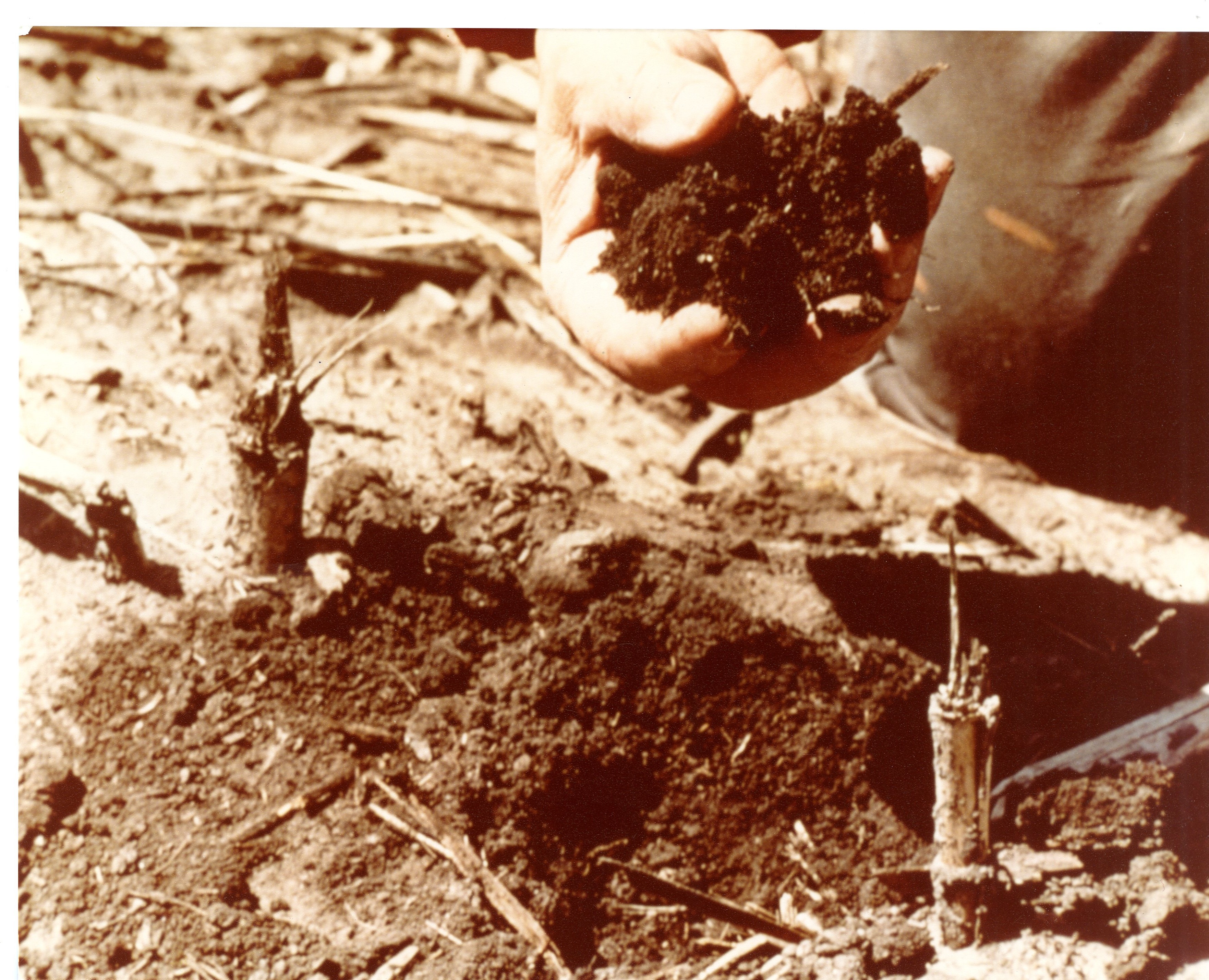 Farmer Holding Soil 