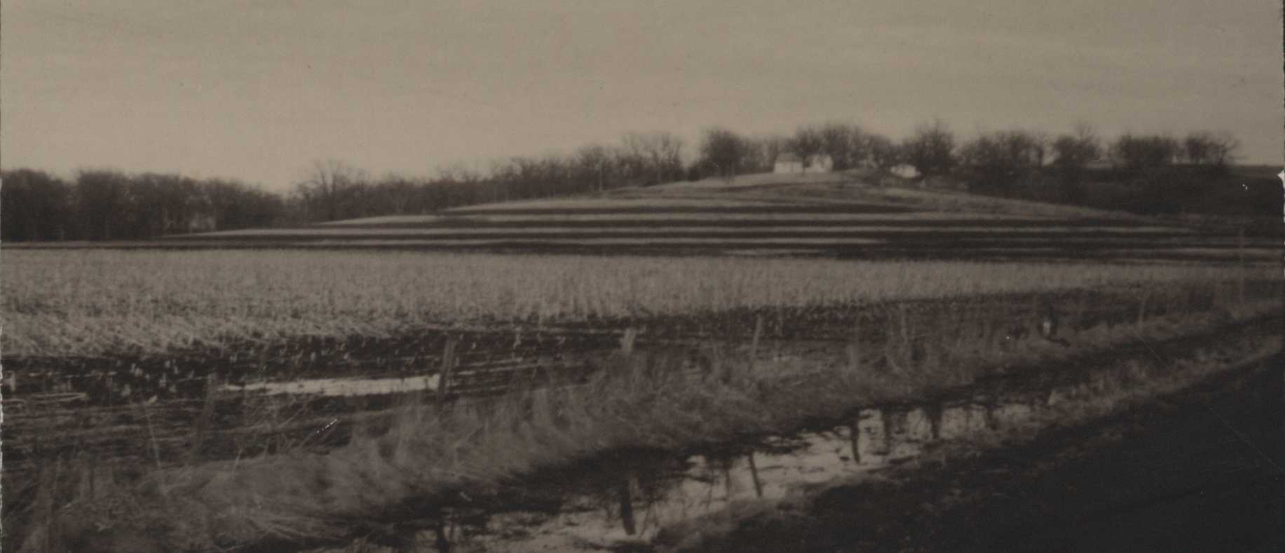 Terraces on Frank Daniels' farm.