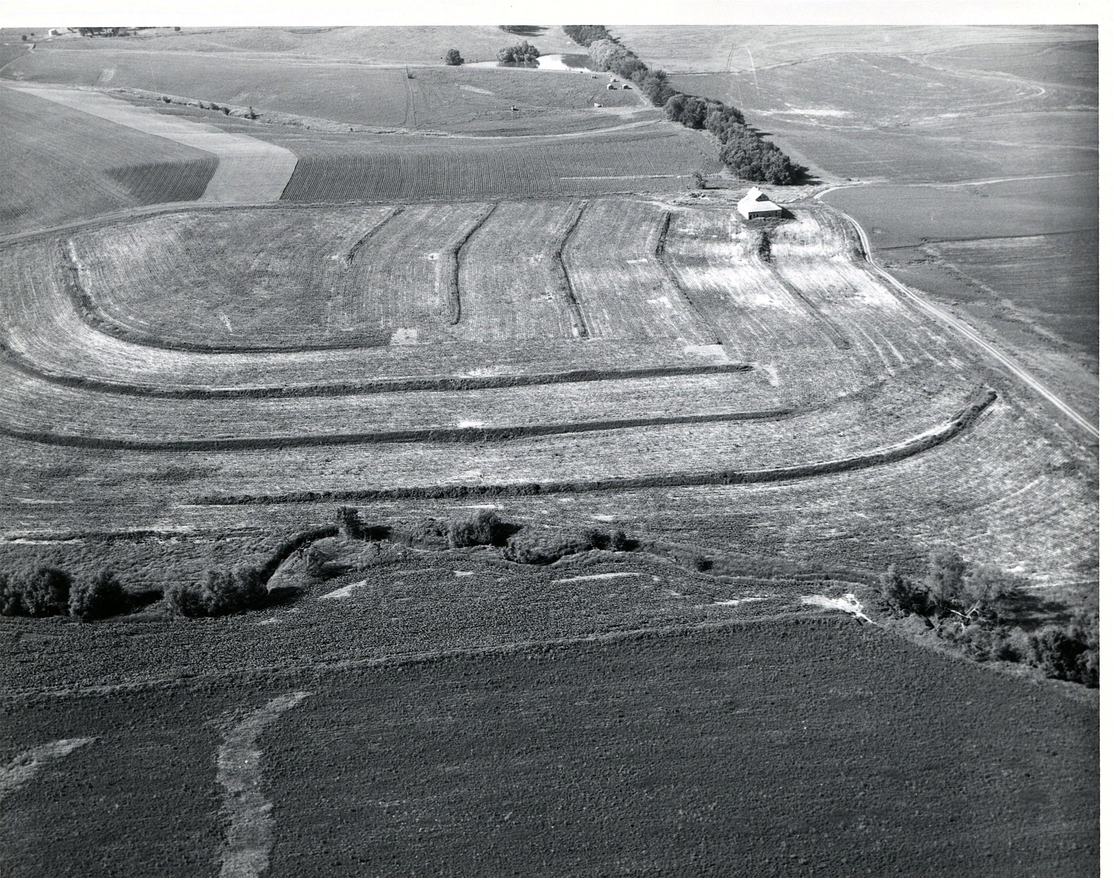 Terraces, 1967