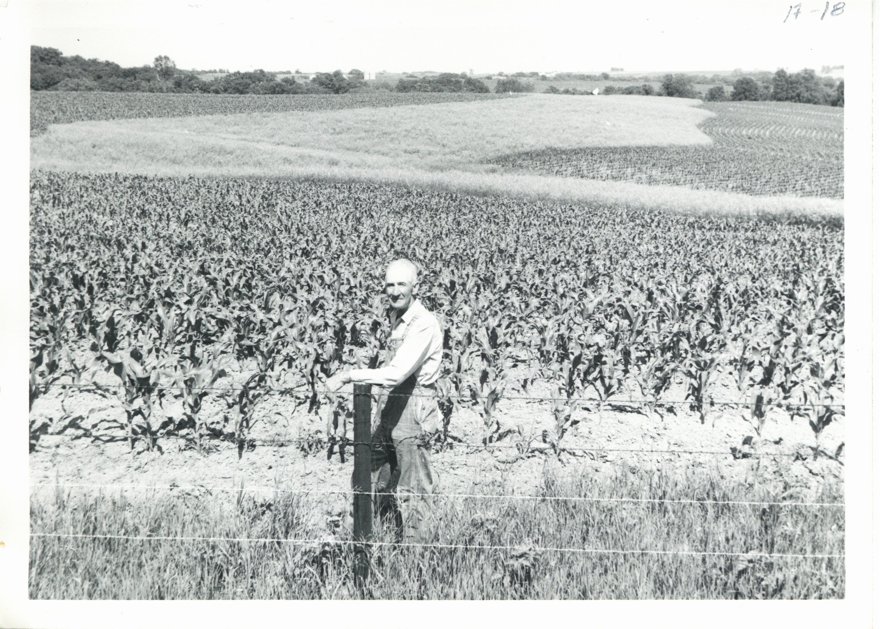 Contoured corn planted by Jim Sommers, 1967
