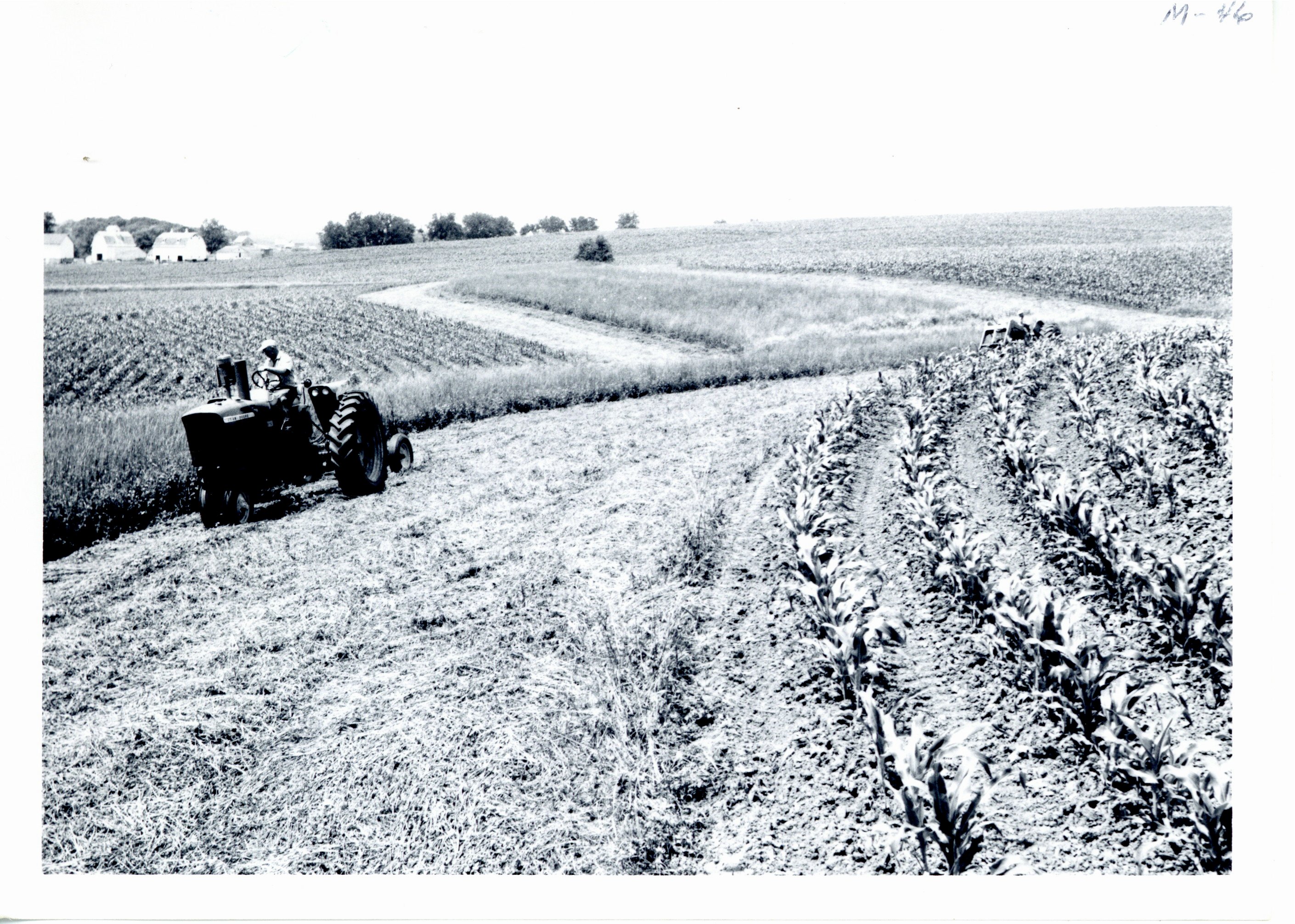 Wilson Brothers making hay, 1965
