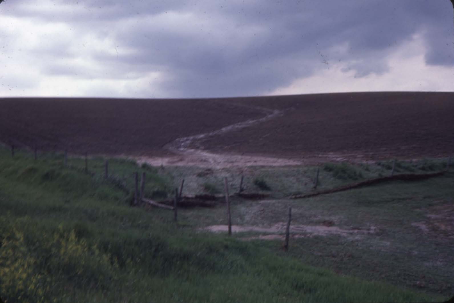 Krenk farmland