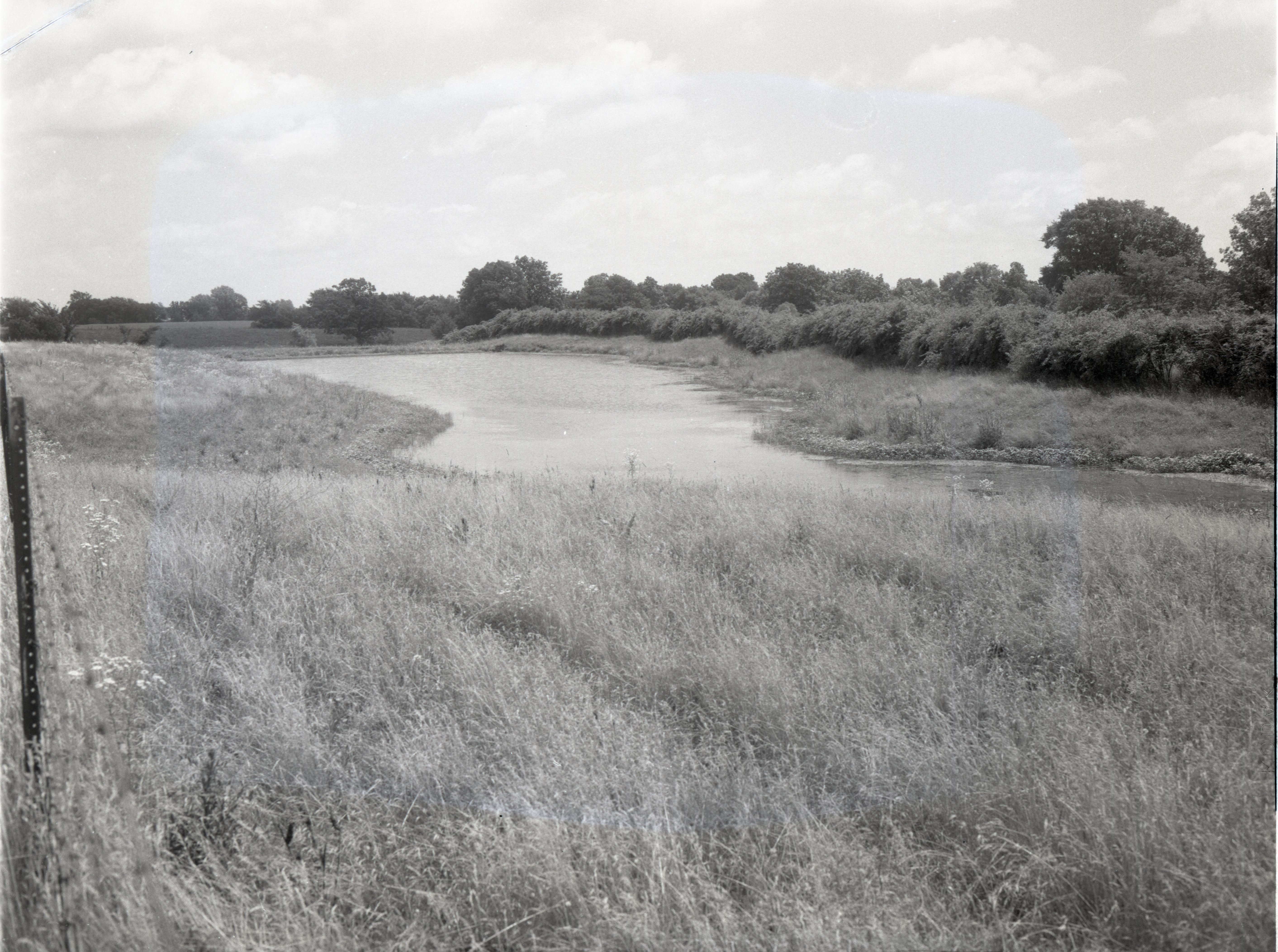 Stream by grasslands