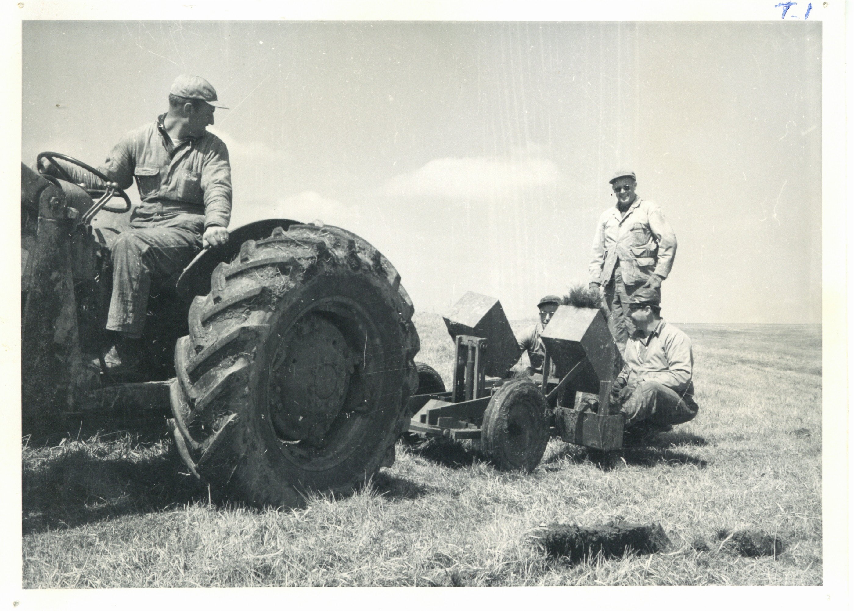 Tree planting on Don Schwenke farm, 1961