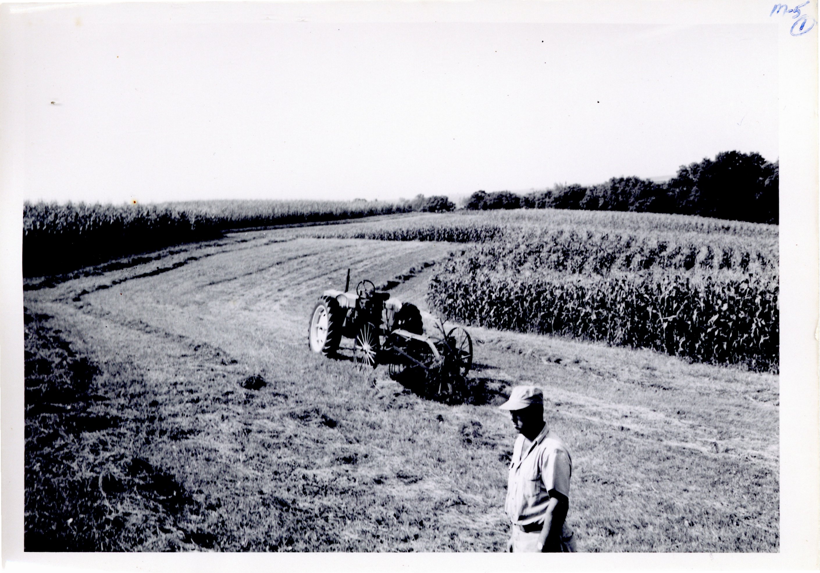 Strip cropping on Eldon Wohler's farm, 1961 