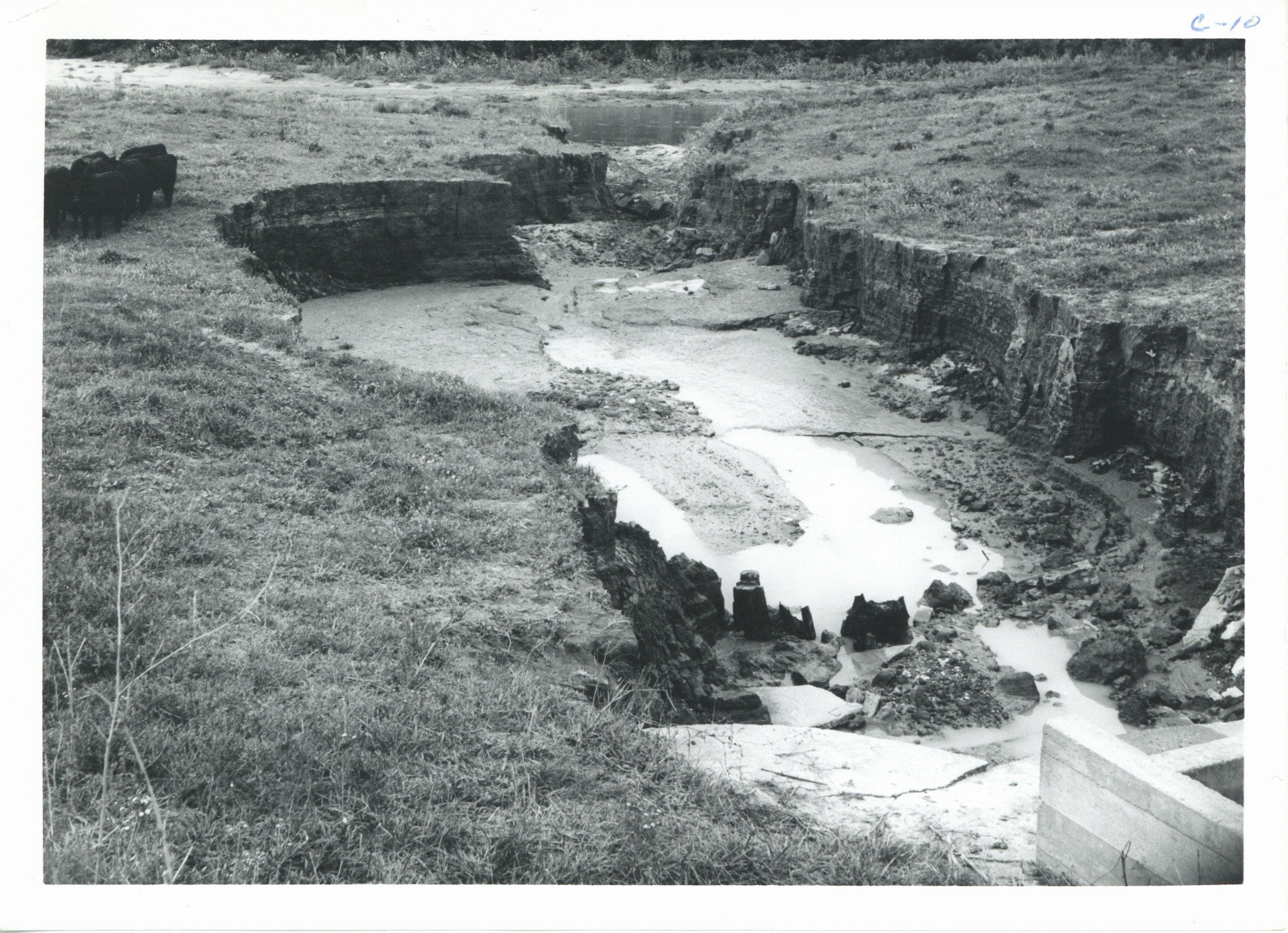 Gully erosion on Don Thomas farm, 1965