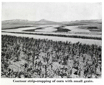 Mixed Contour Crop_Exhibit
