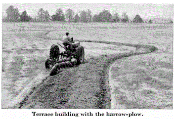 Terrace Building_Exhibit 