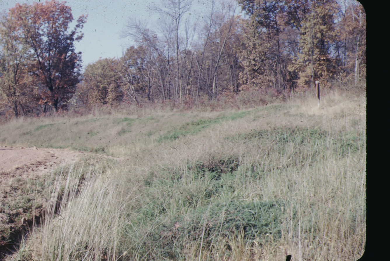 Critical erosion area seeded with crown vetch, switch grass, alfalfa, and reed canary grass.