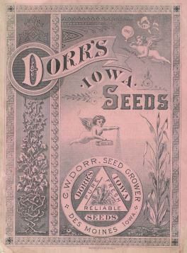 Title page; Dorr's Iowa Seeds 1882