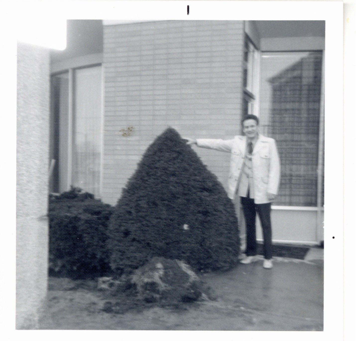 Daryl Hicks with transplanted tree in front of Maquoketa State Bank