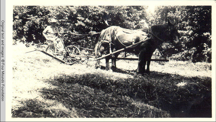 John Heitzman on haycutter with horses