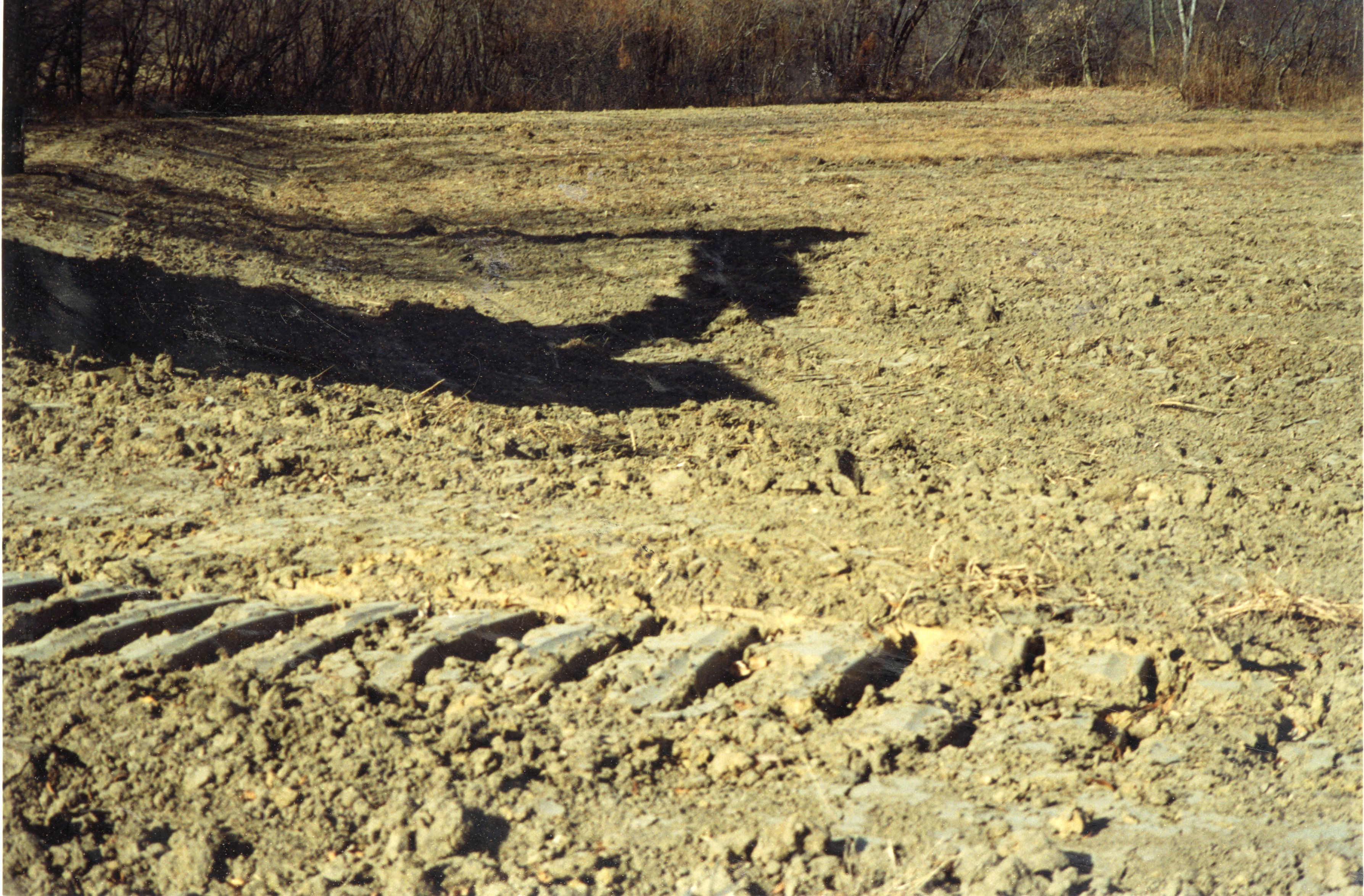 1999 Shallow water wetland established on Robert Yaeger farm