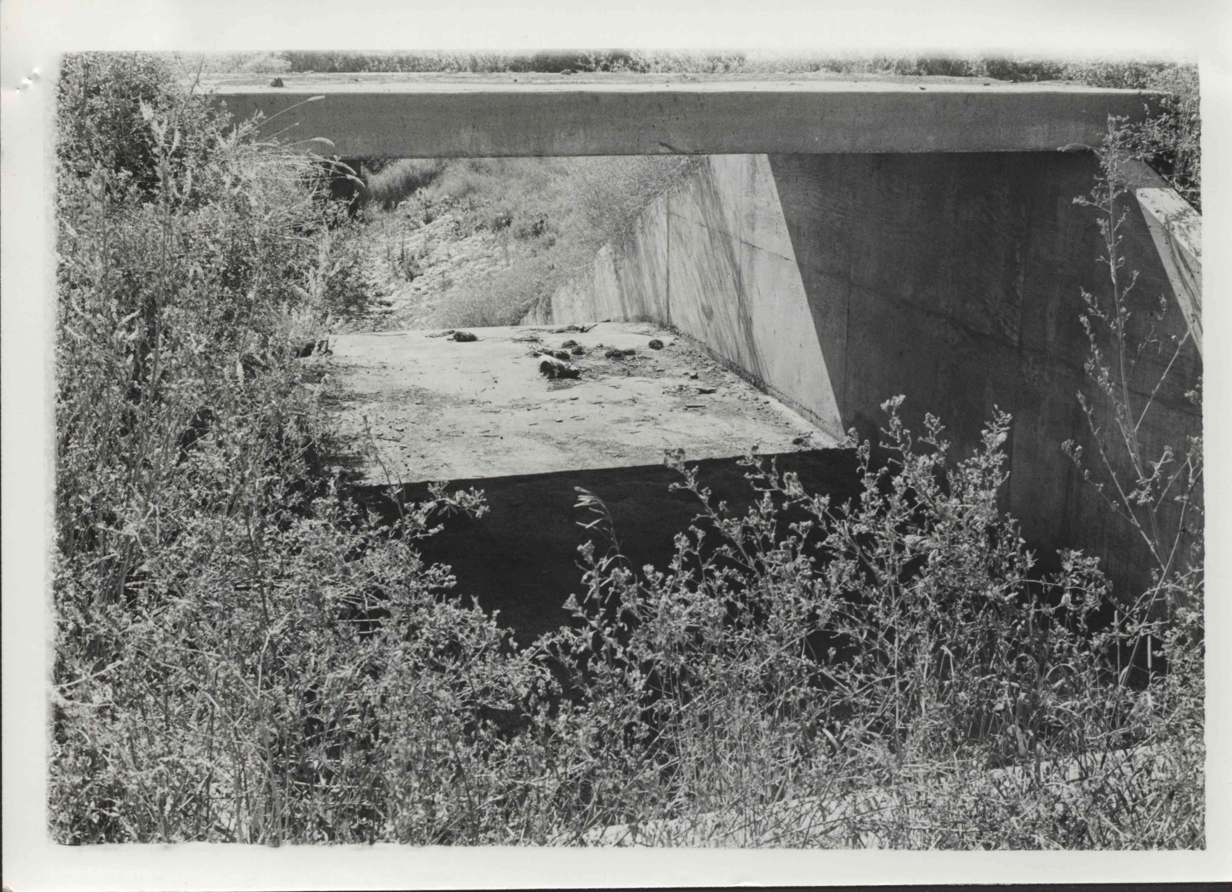 Watershed drainage structure with plants growing around it