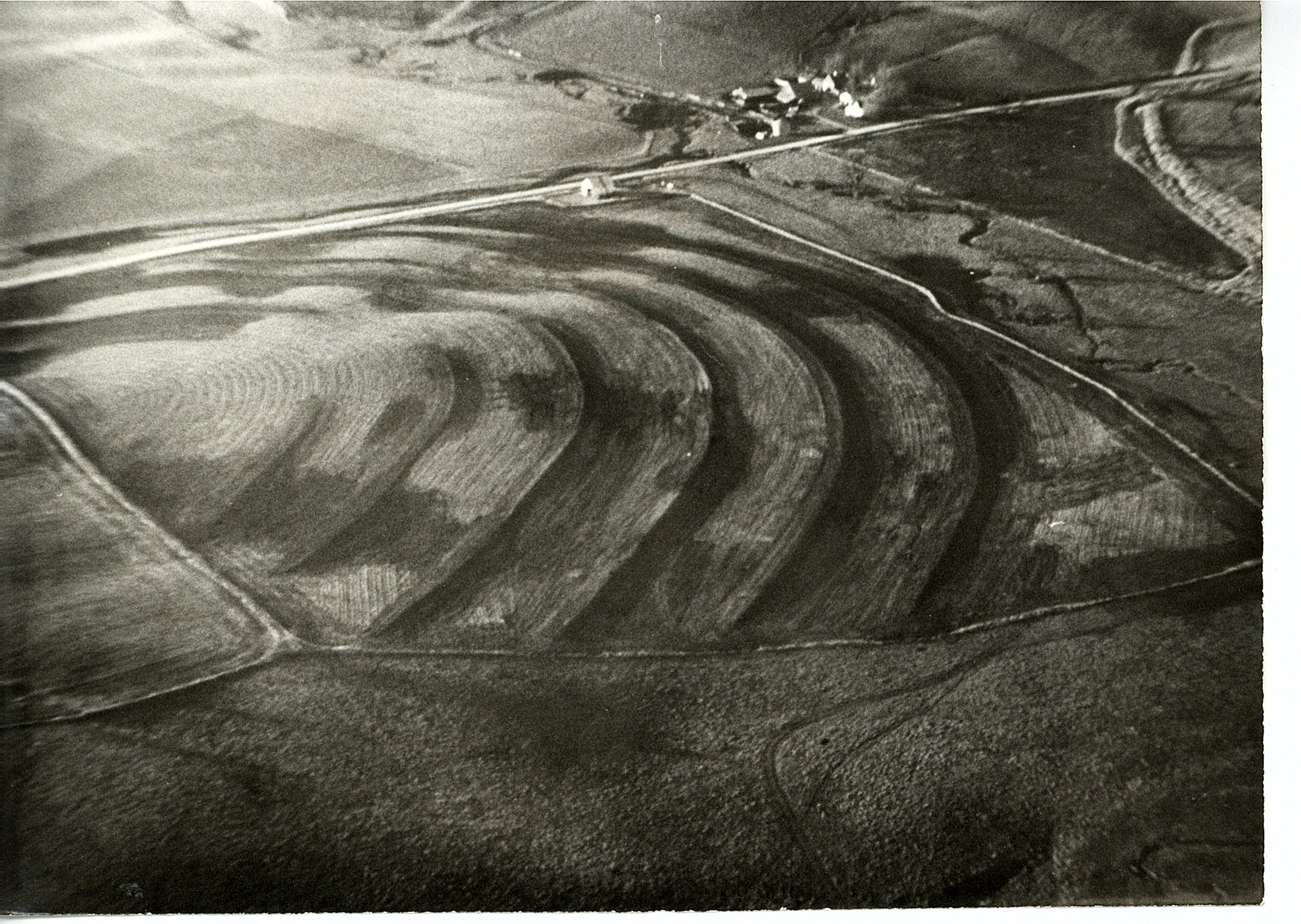 Lynch farm terraces