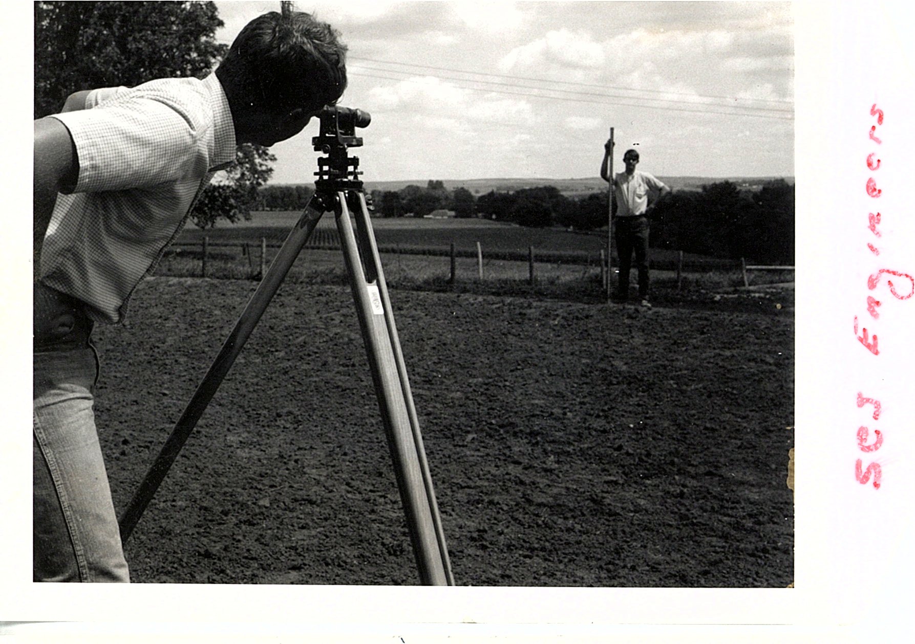 Summer trainees survey terrace
