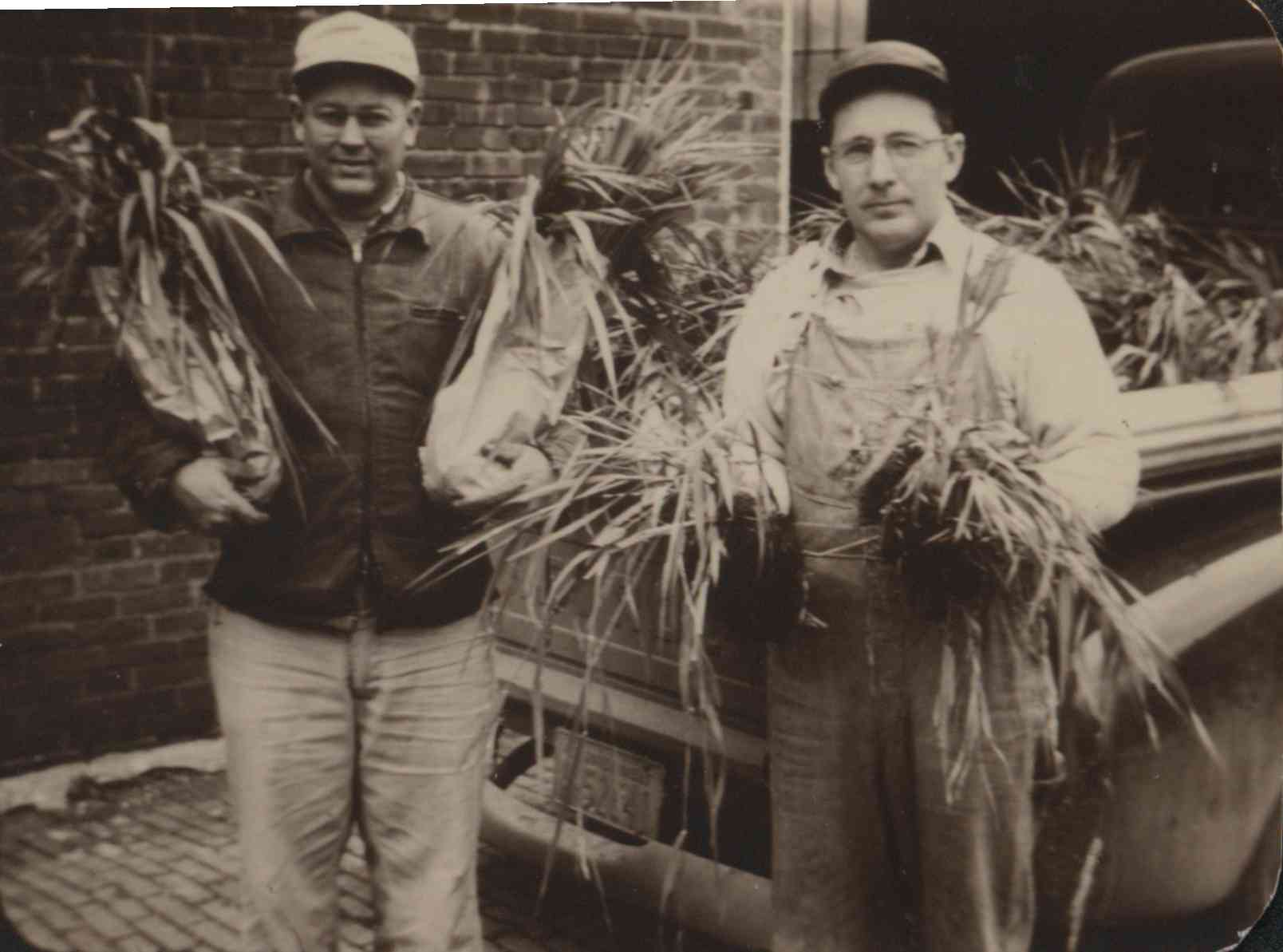 Unidentified farmers