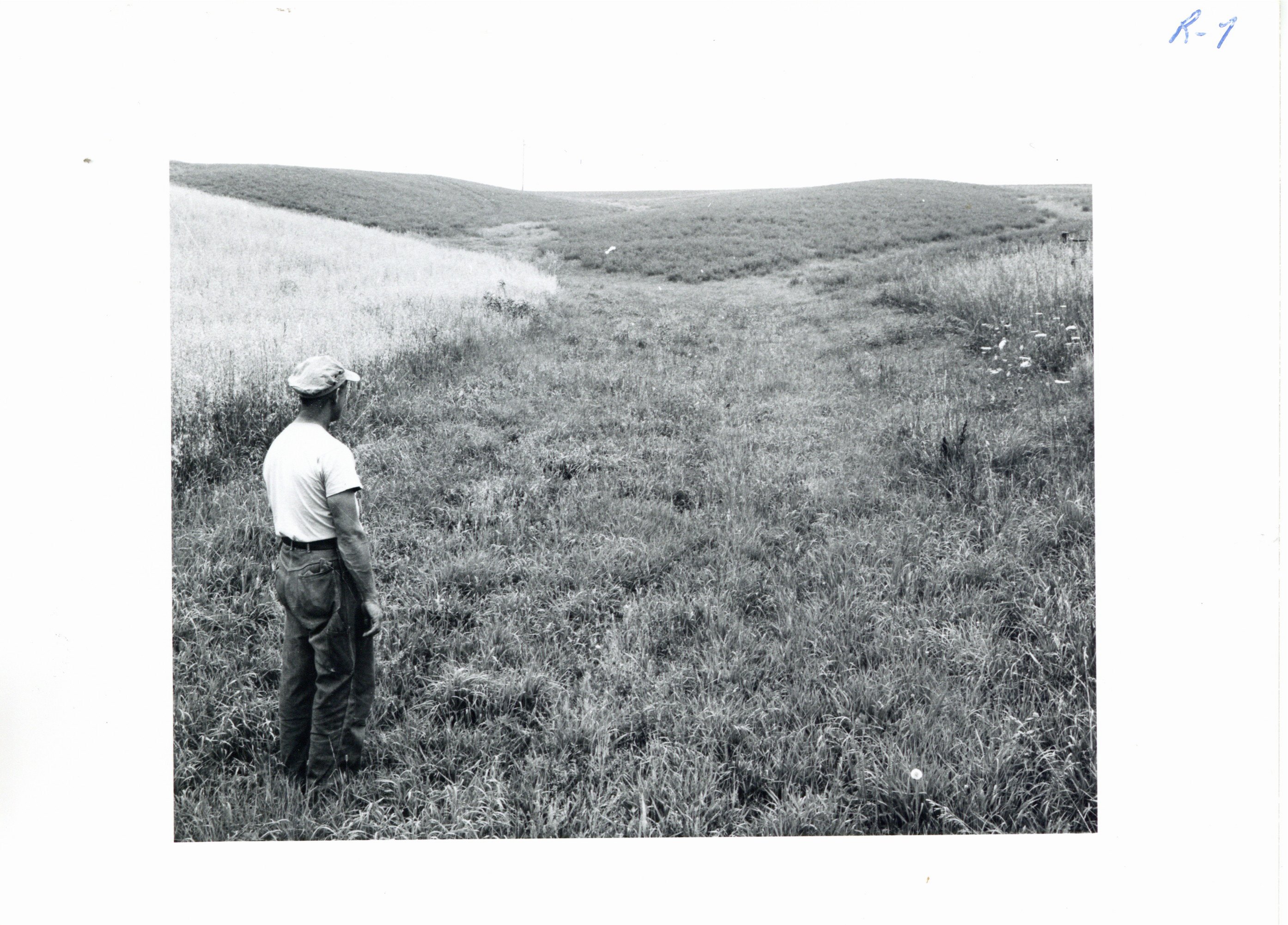 Lester Roeder grass waterway, 1965