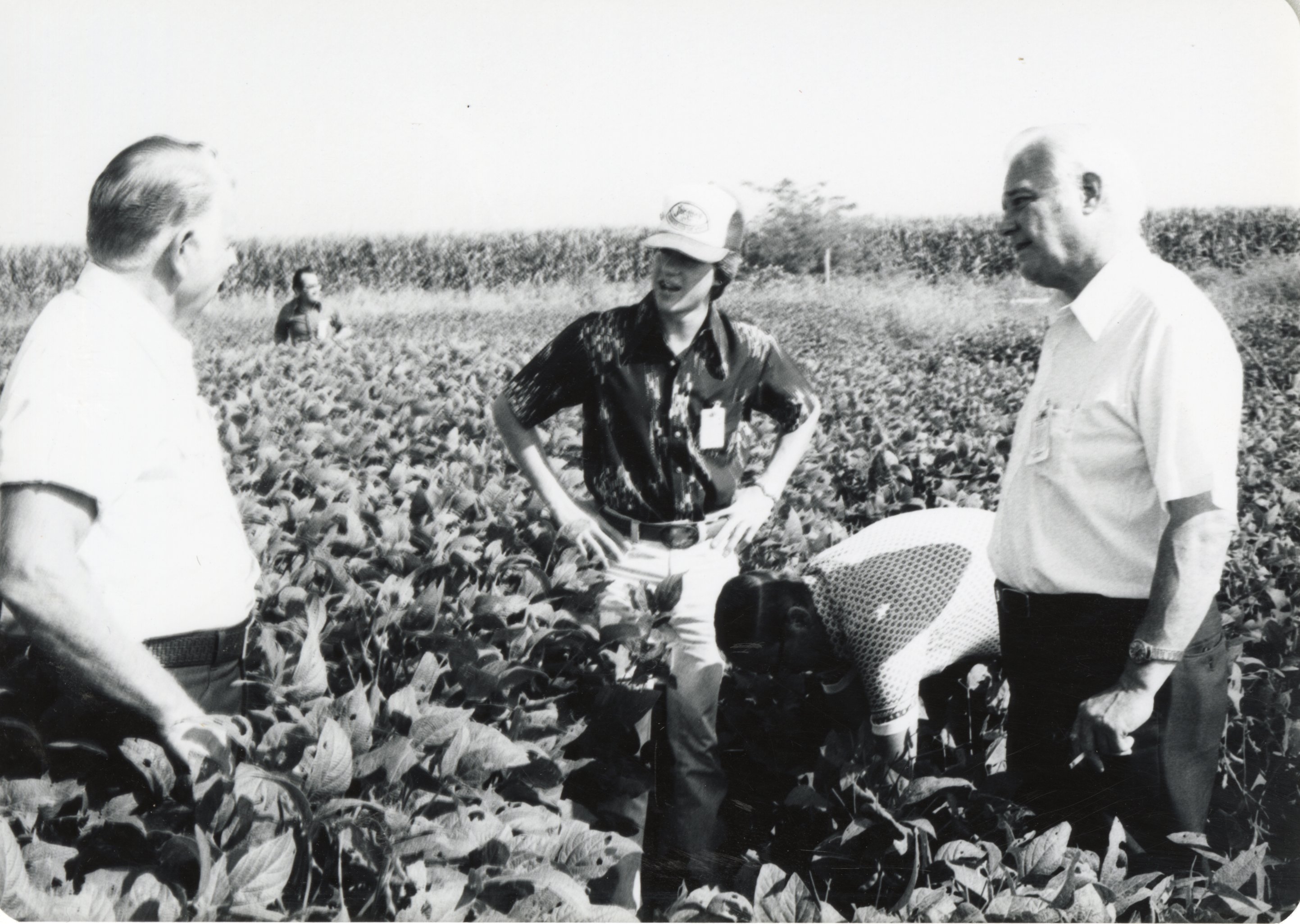 1970s Four men stand in field on no-till tour