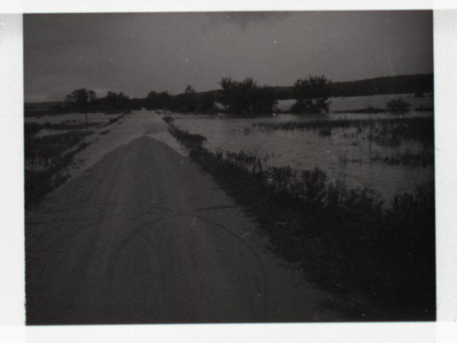 Unidentified Black and White Photo Negatives Showing Rural Scenes