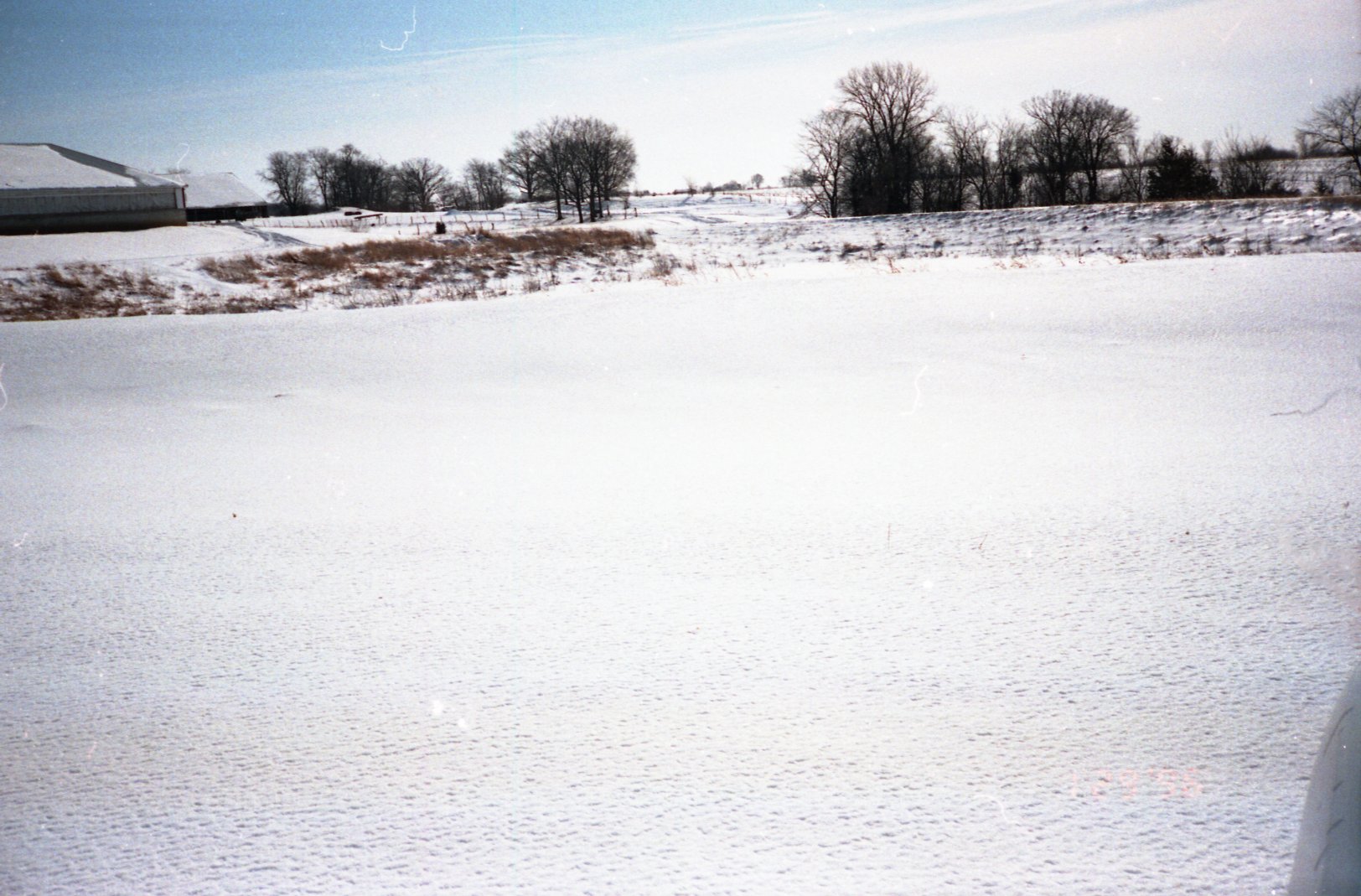 Snowy fields
