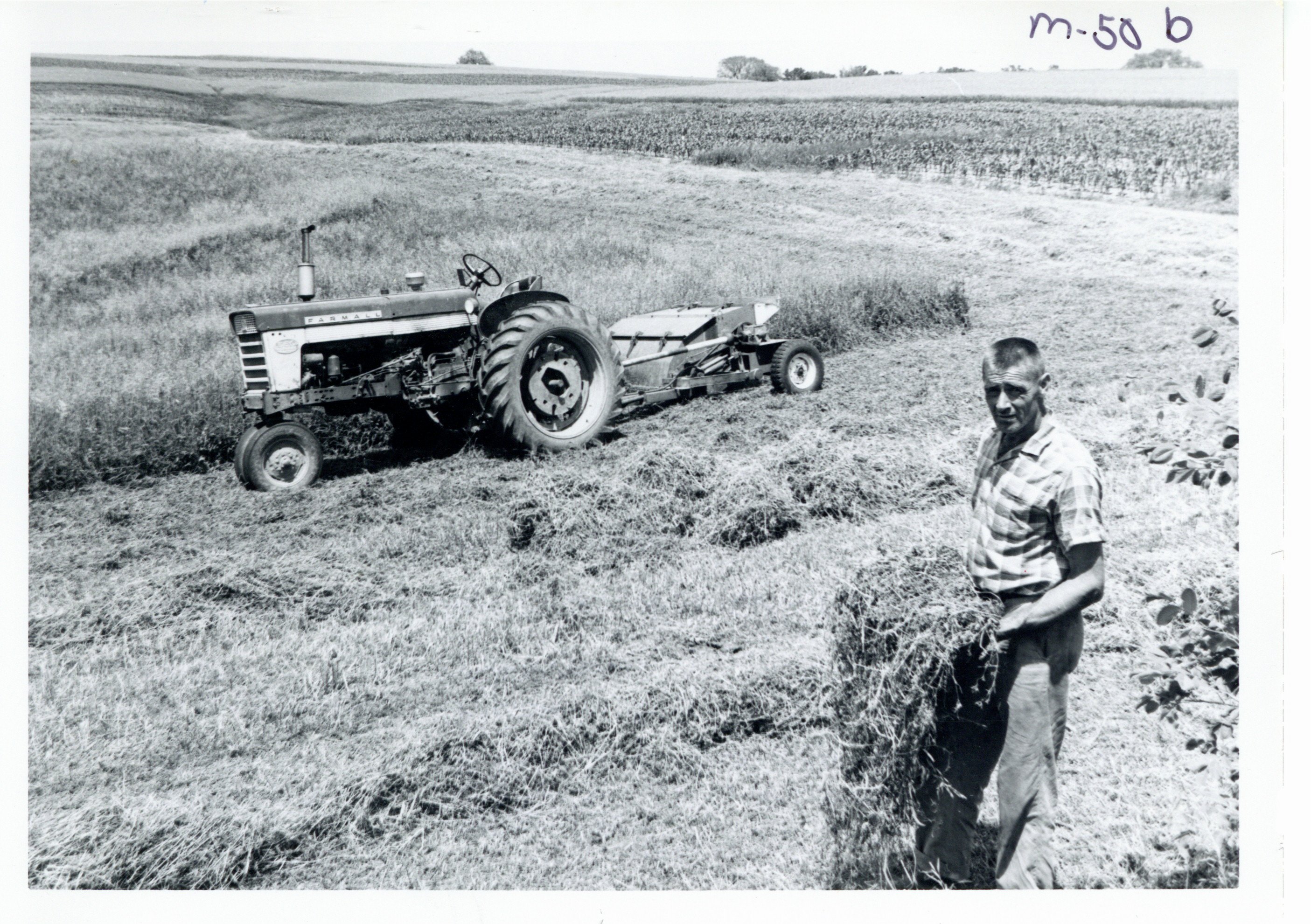 Floyd Peters meadow strips, 1967