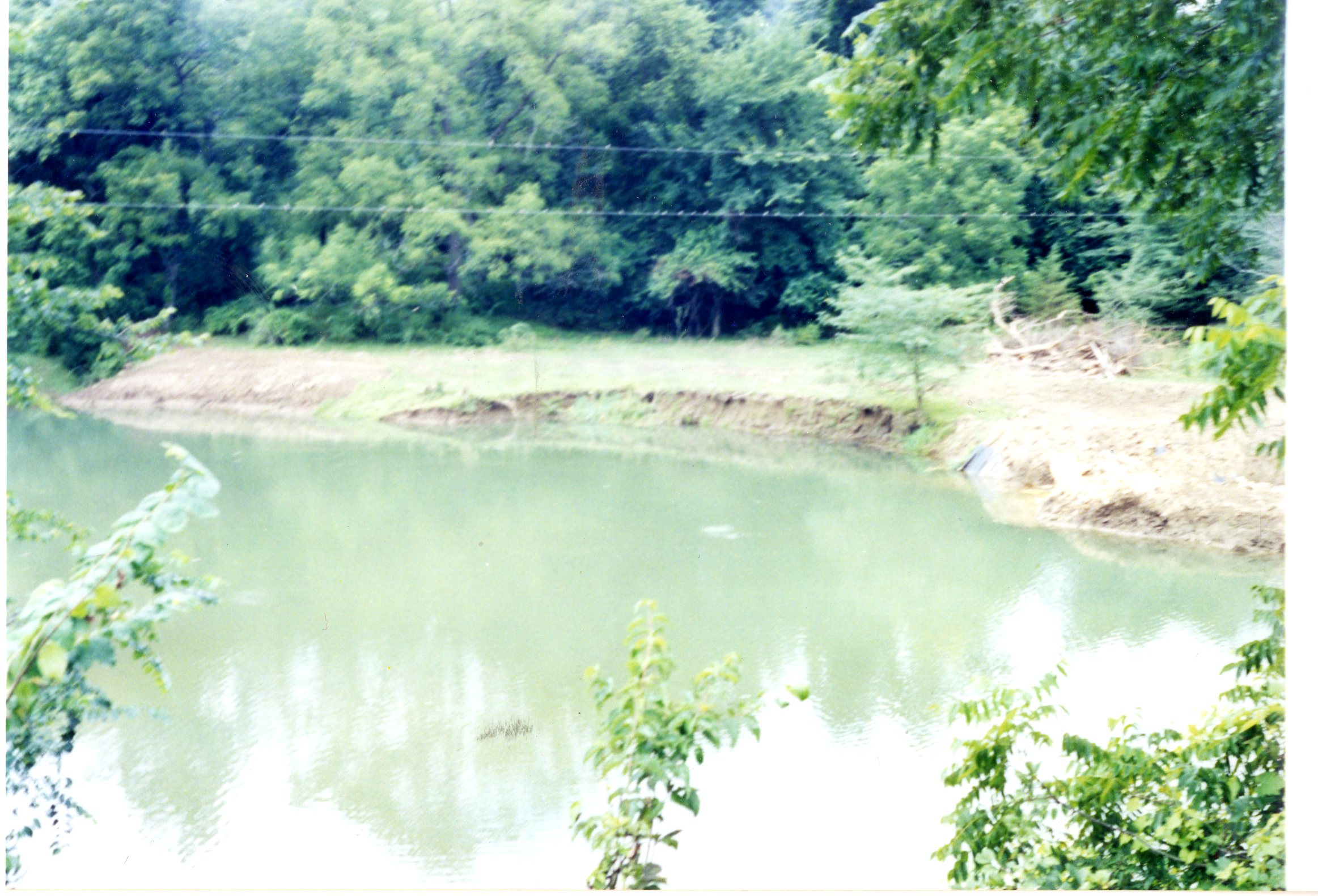 Smith Creek