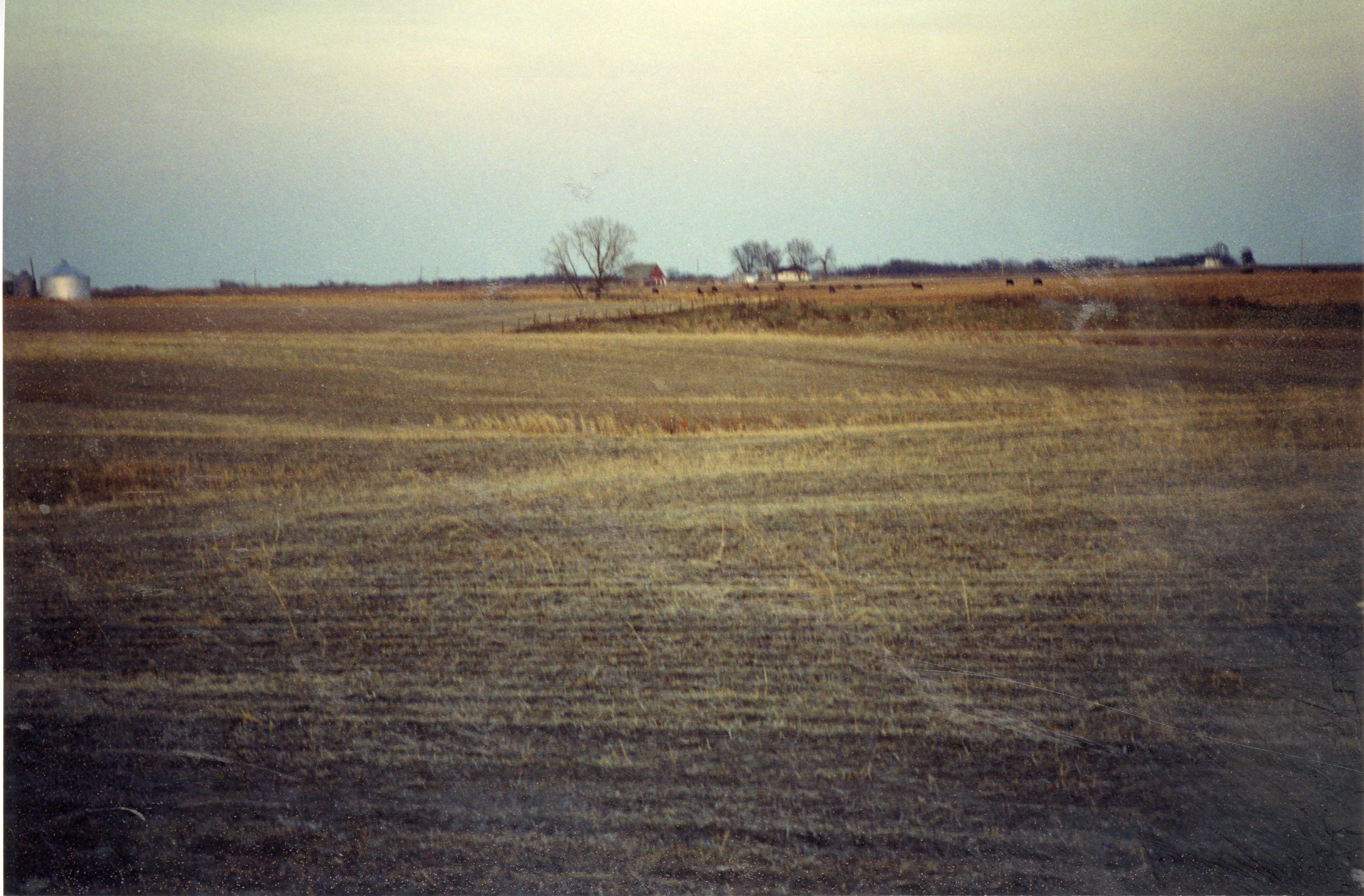1990s Terraces on Gary Schweitzer's farm
