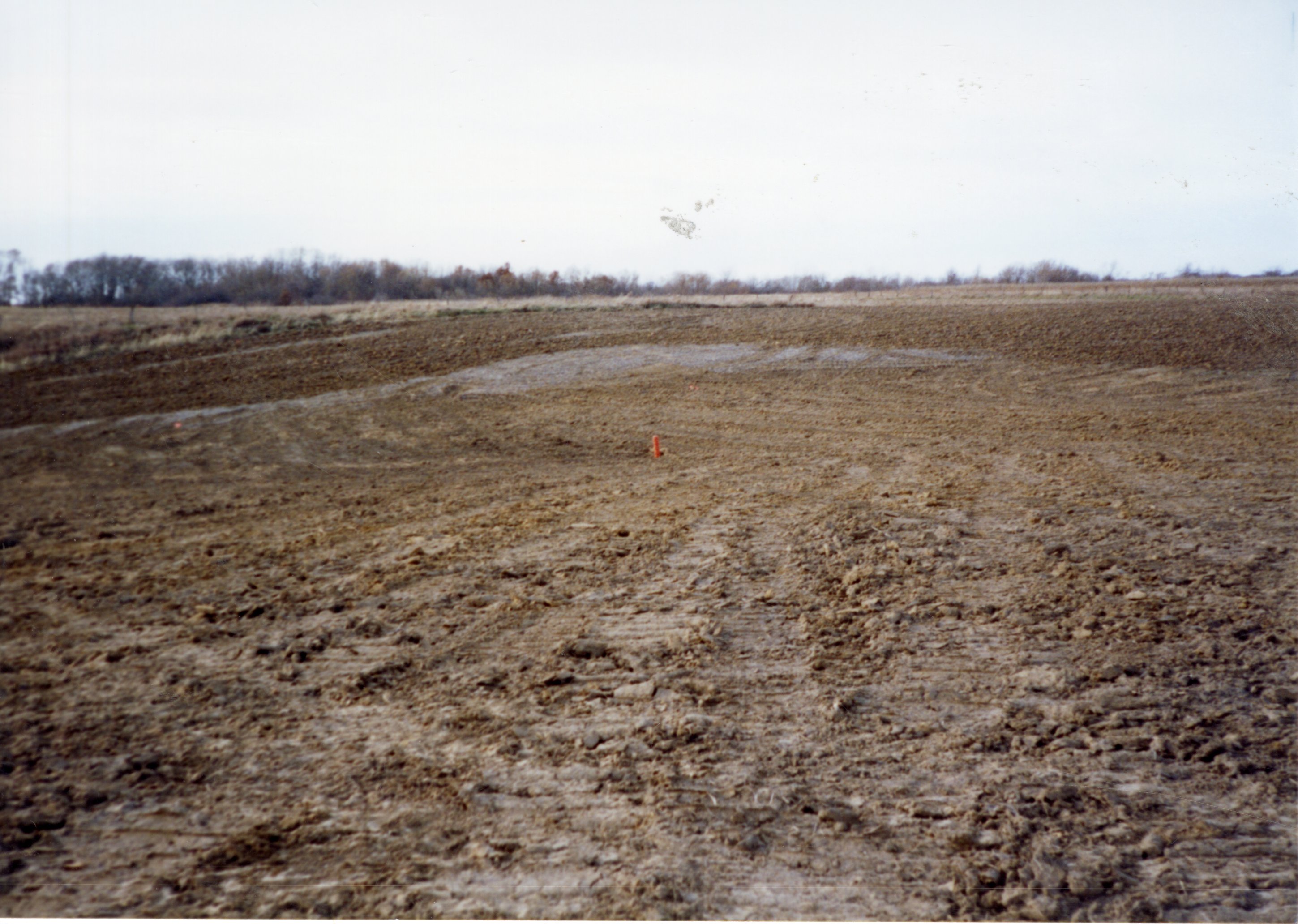 2002  Terraces at Marilyn Vierling's Farm